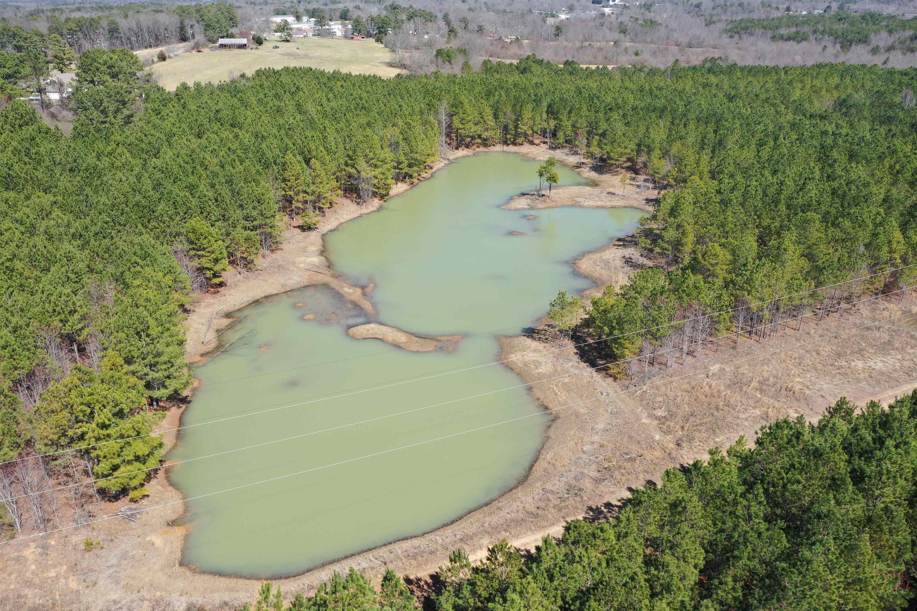 00 Co Rd 76, Haleyville, AL 35565 — photo 1