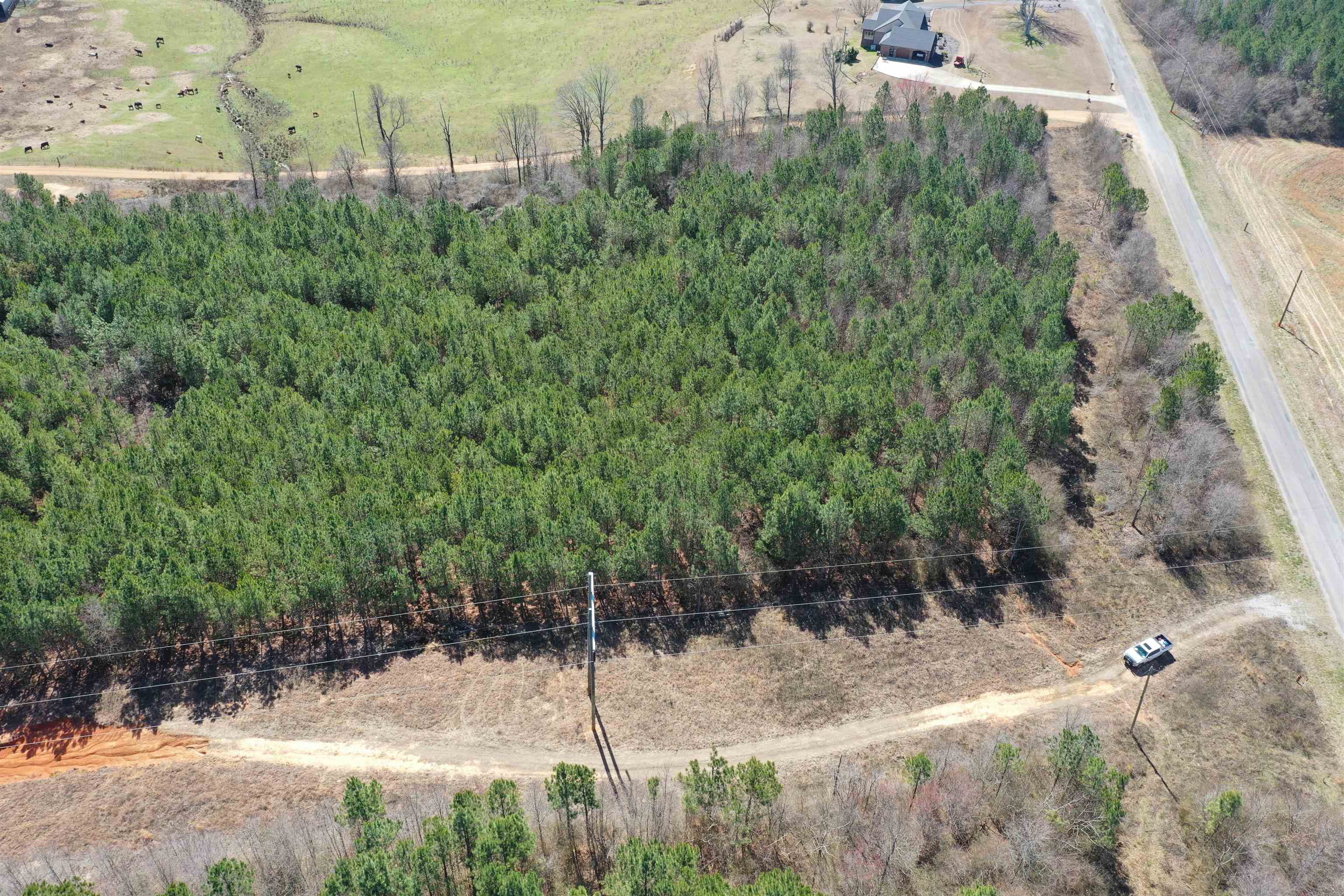 00 Co Rd 76, Haleyville, AL 35565 — photo 2