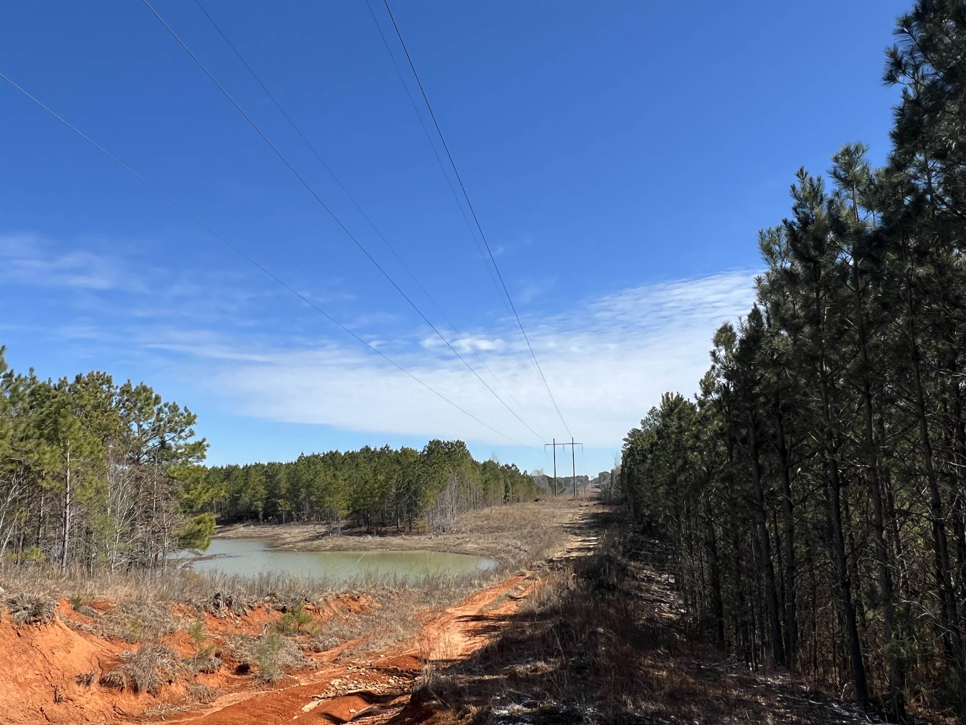 00 Co Rd 76, Haleyville, AL 35565 — photo 10