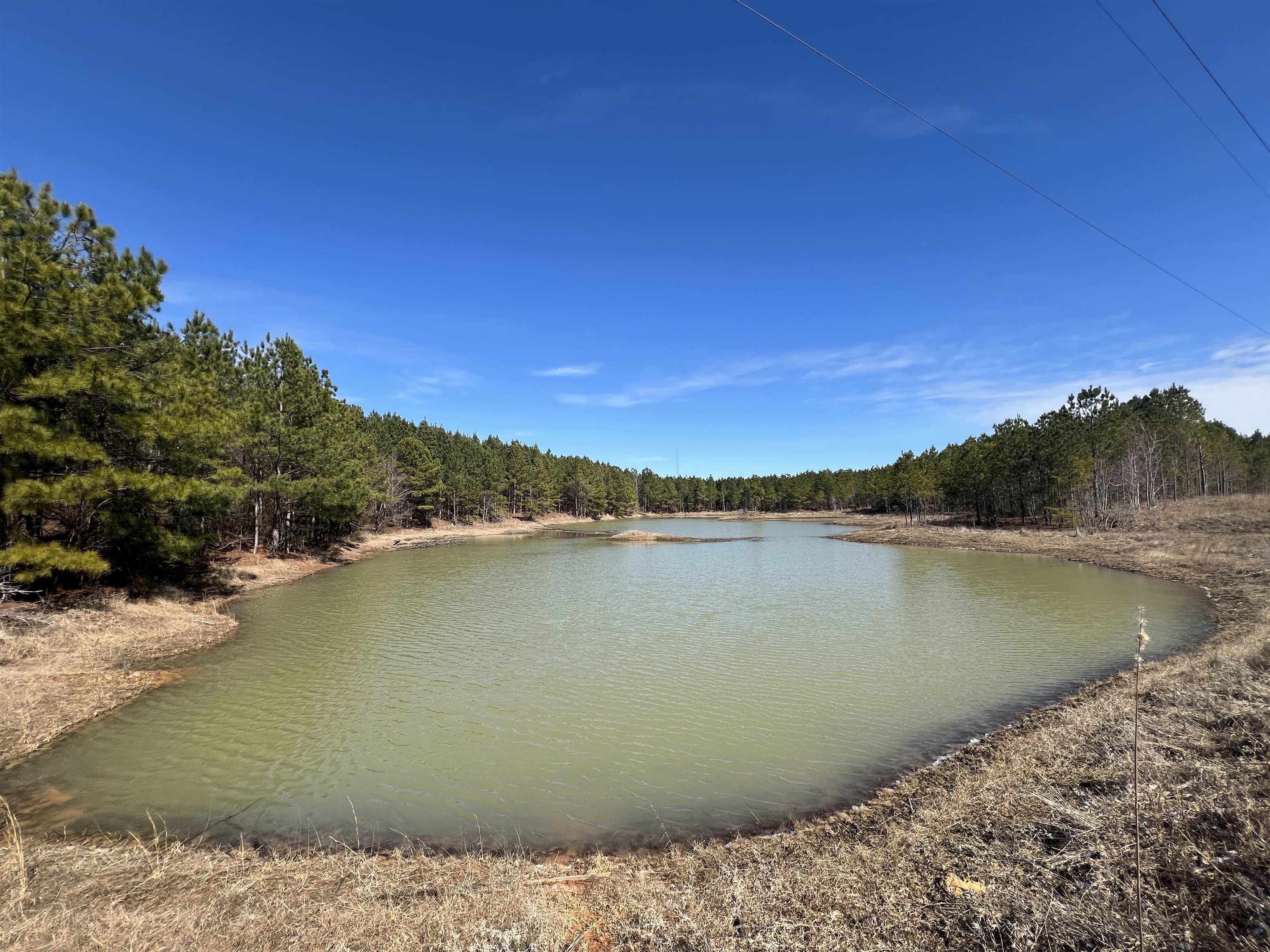 00 Co Rd 76, Haleyville, AL 35565 — photo 12