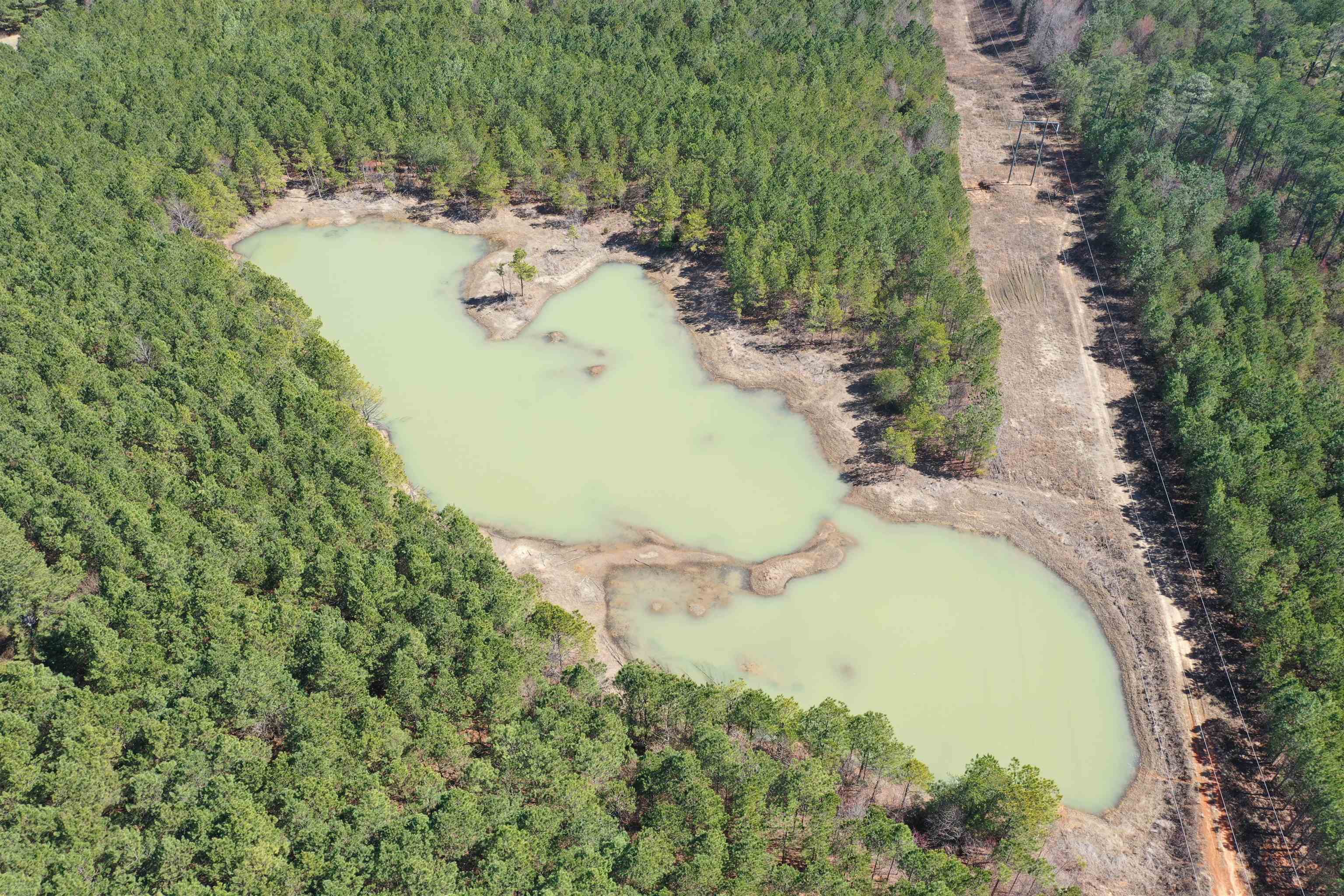 00 Co Rd 76, Haleyville, AL 35565 — photo 5