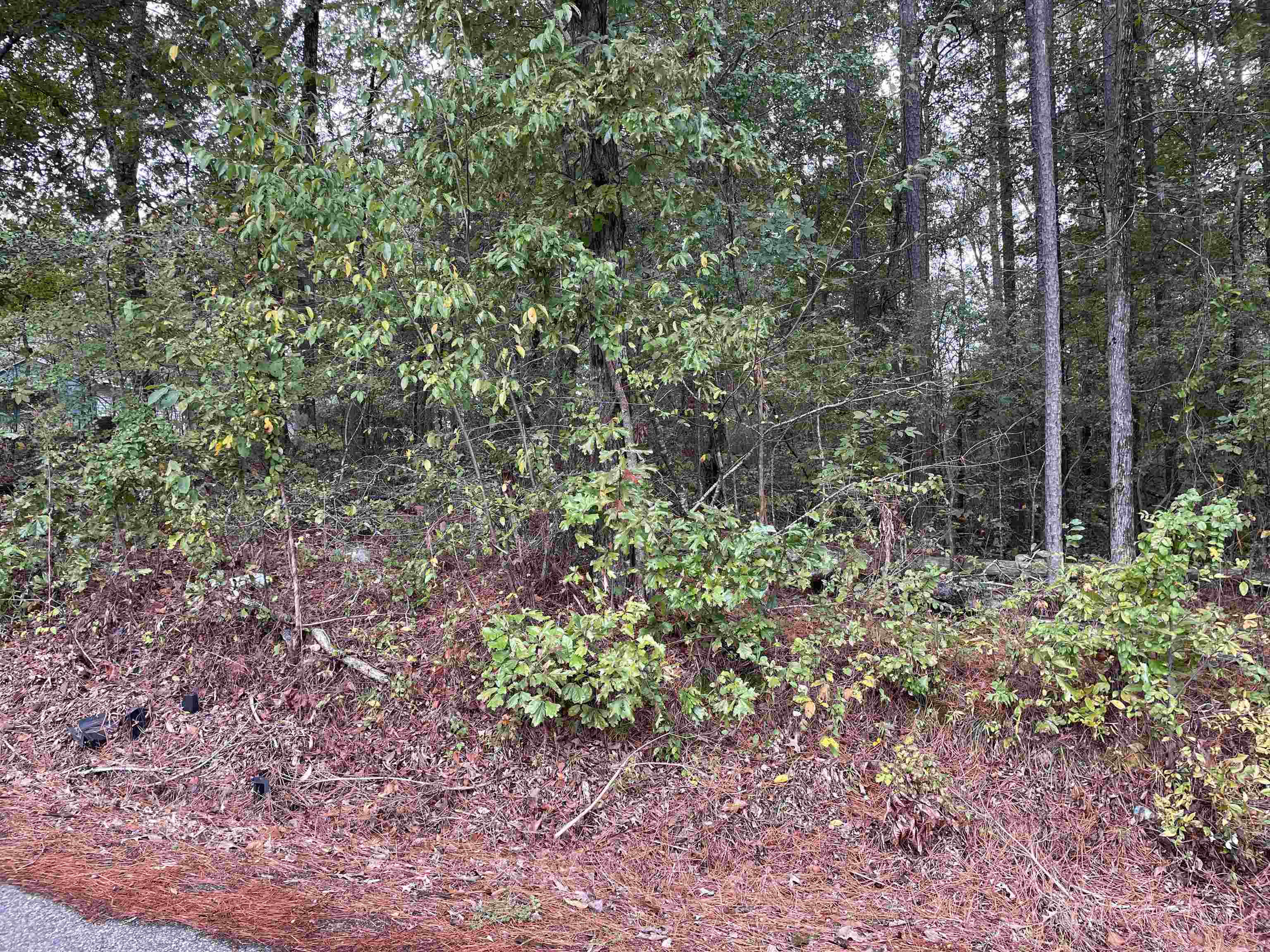 0 11th St, Vernon, AL 35592 — photo 6