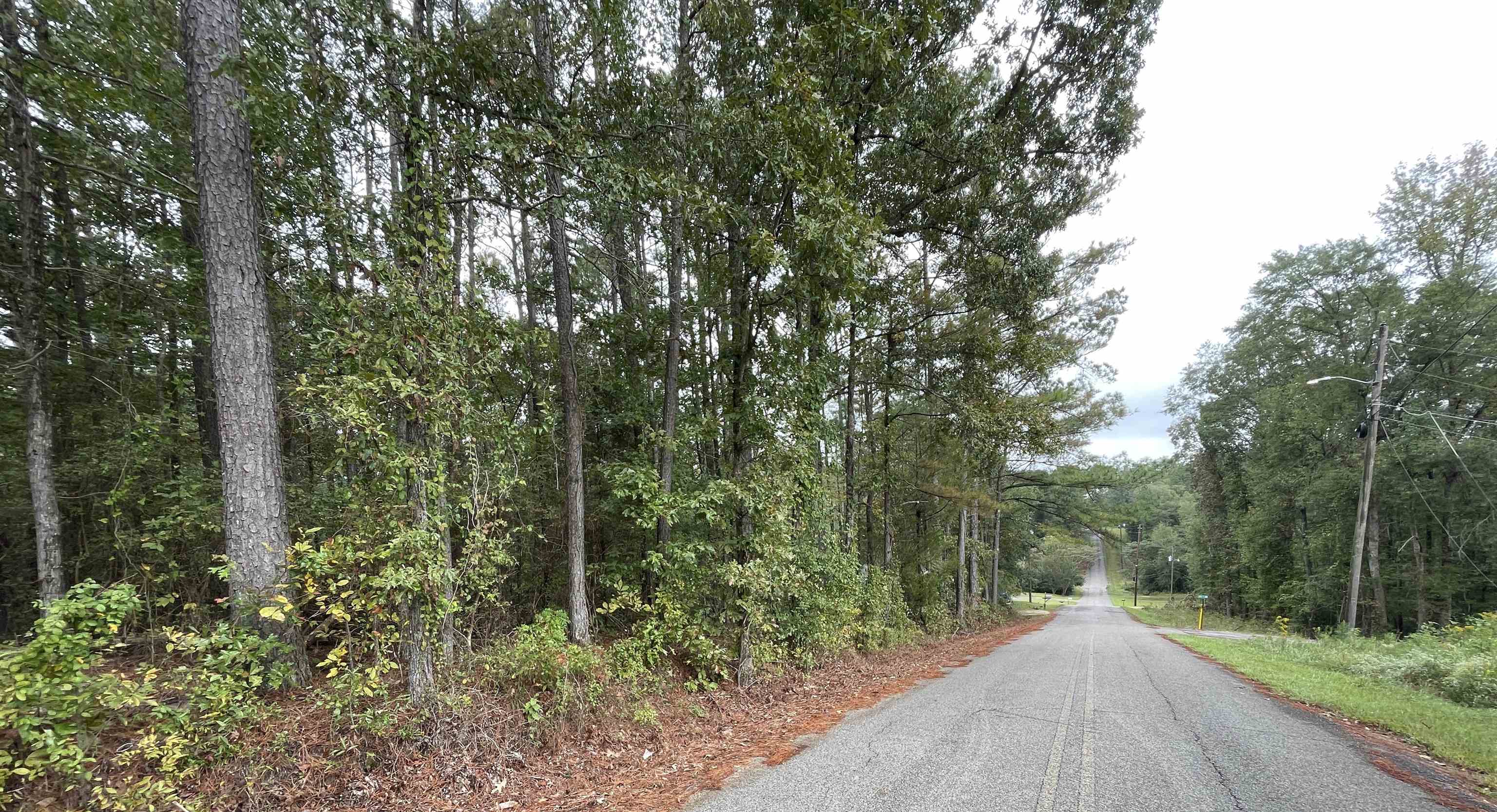 0 11th St, Vernon, AL 35592 — photo 7