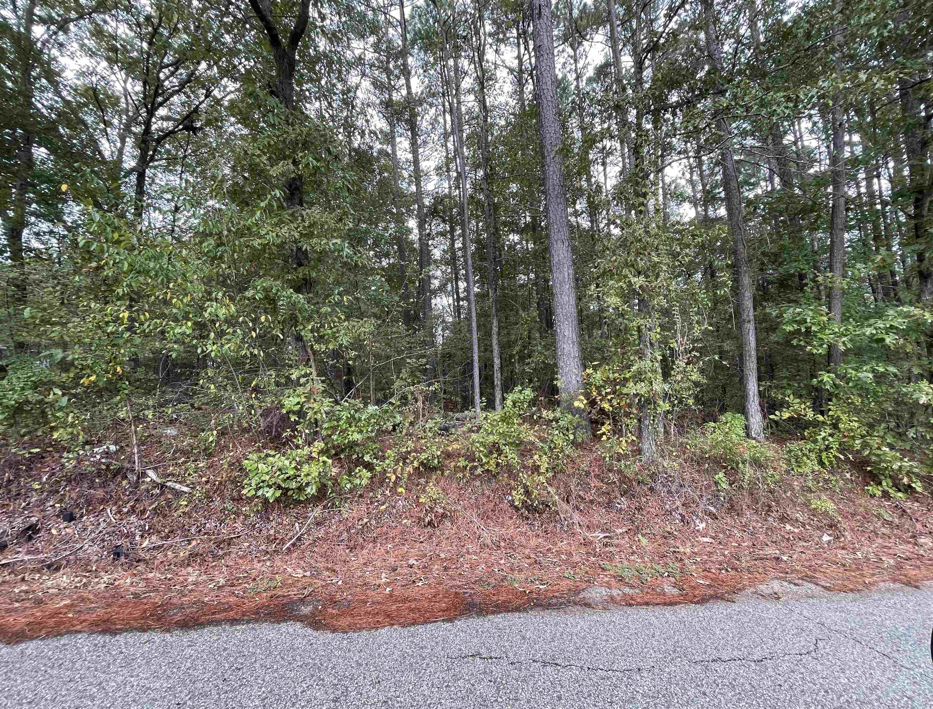 0 11th St, Vernon, AL 35592 — photo 8
