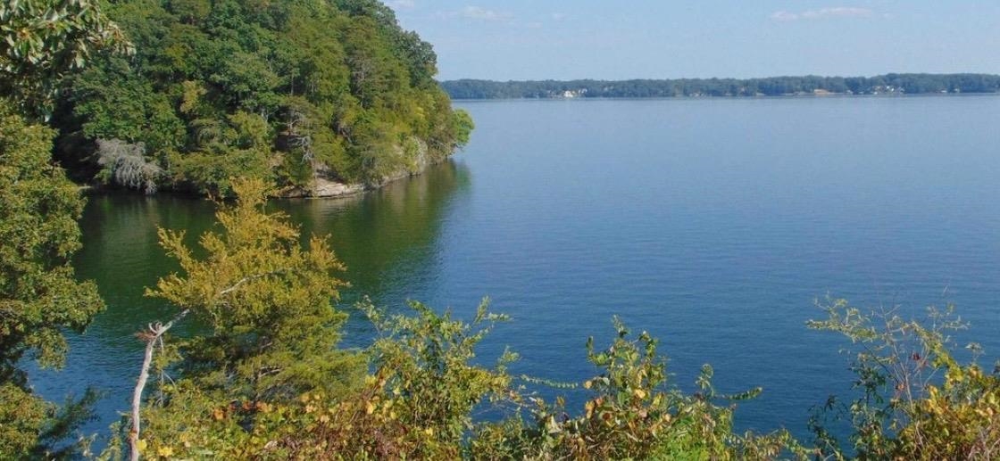 LOT 8 Natures Cv, Florence, AL 35630 — photo 3