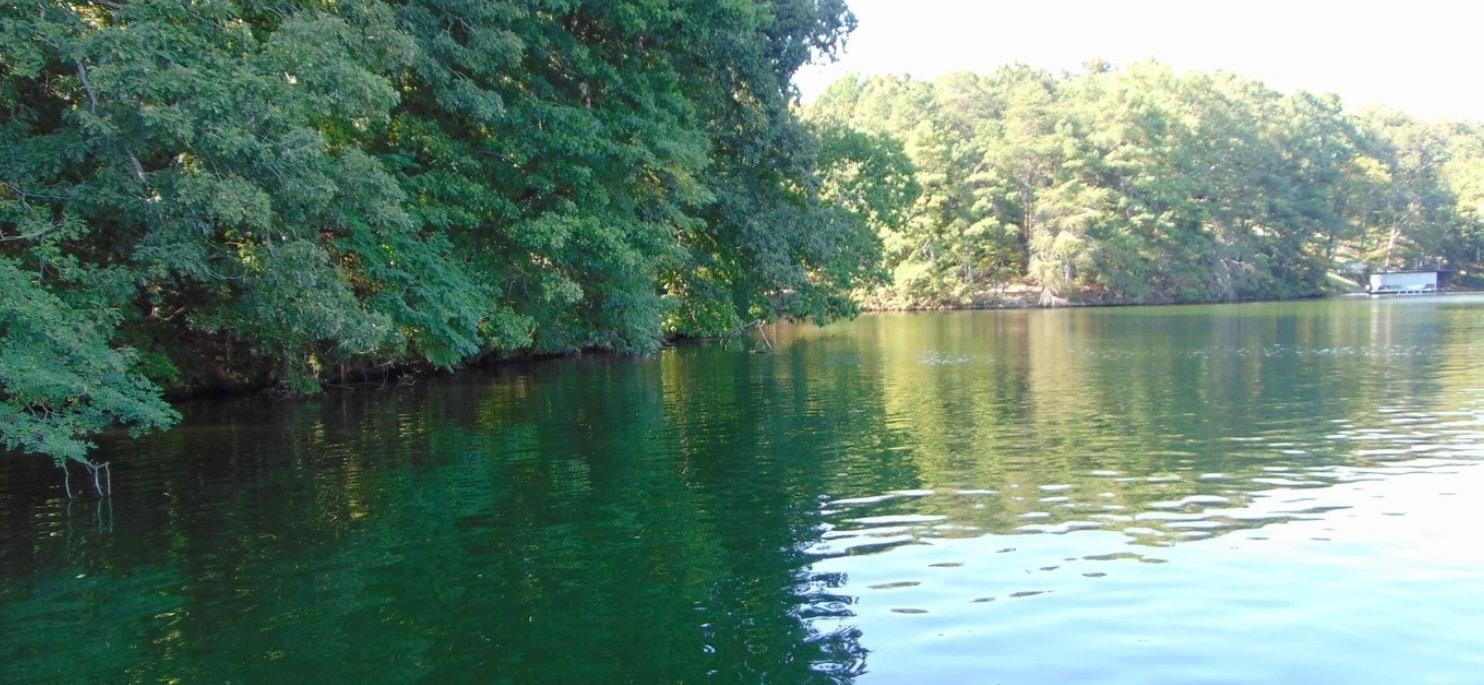 LOT 7 Natures Cv, Florence, AL 35630 — photo 1