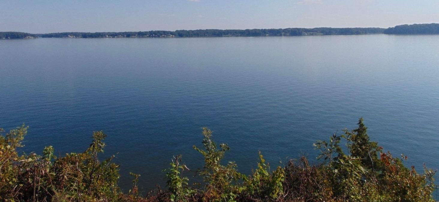 LOT 4 Natures Cv, Florence, AL 35630 — photo 4