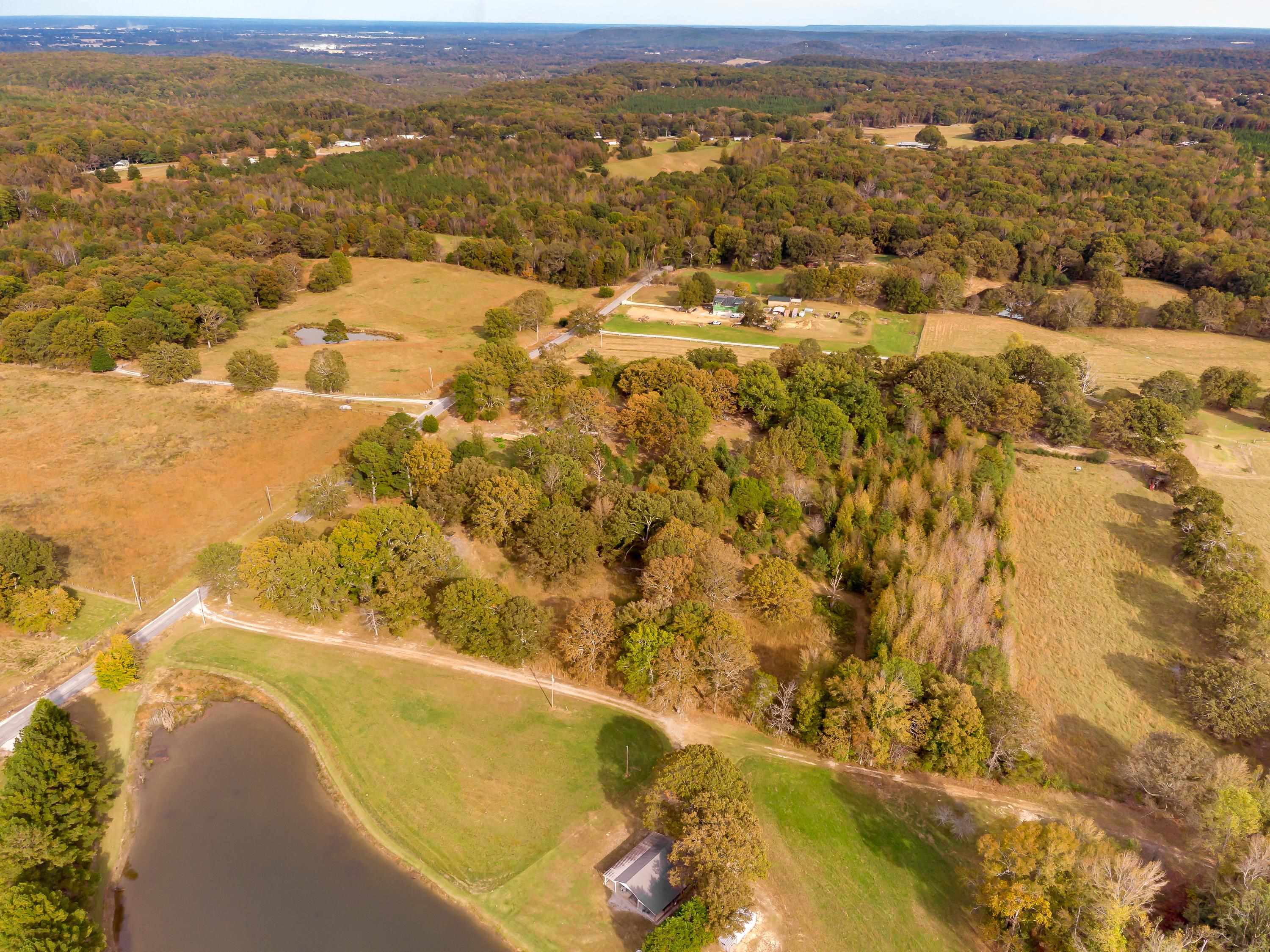 1540 Blue Rd, Tuscumbia, AL 35674 — photo 12