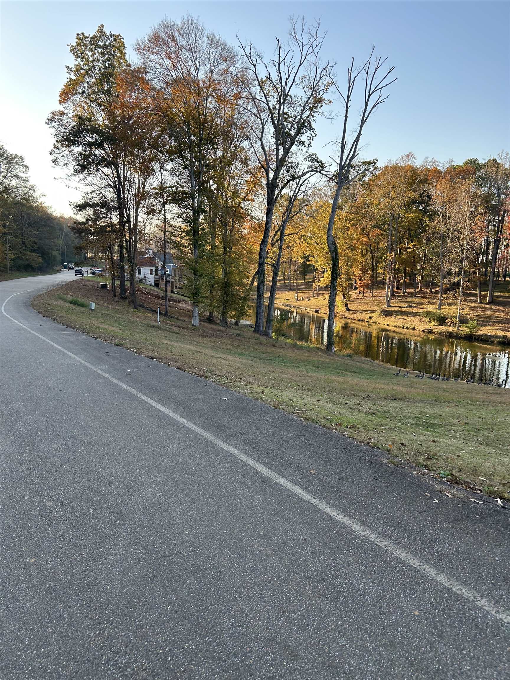 1584 N Shore Dr, Florence, AL 35634 — photo 7