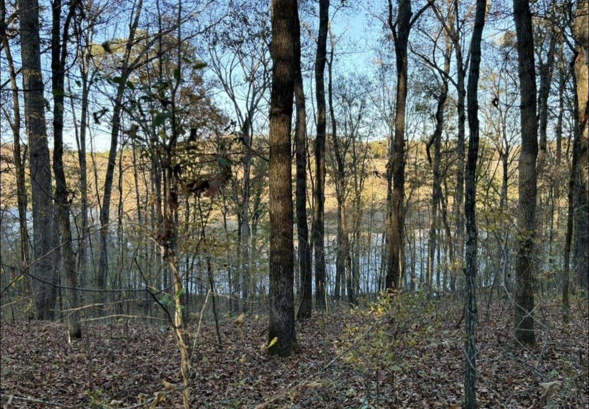0 Co Rd 585, Rogersville, AL 35652 — photo 1
