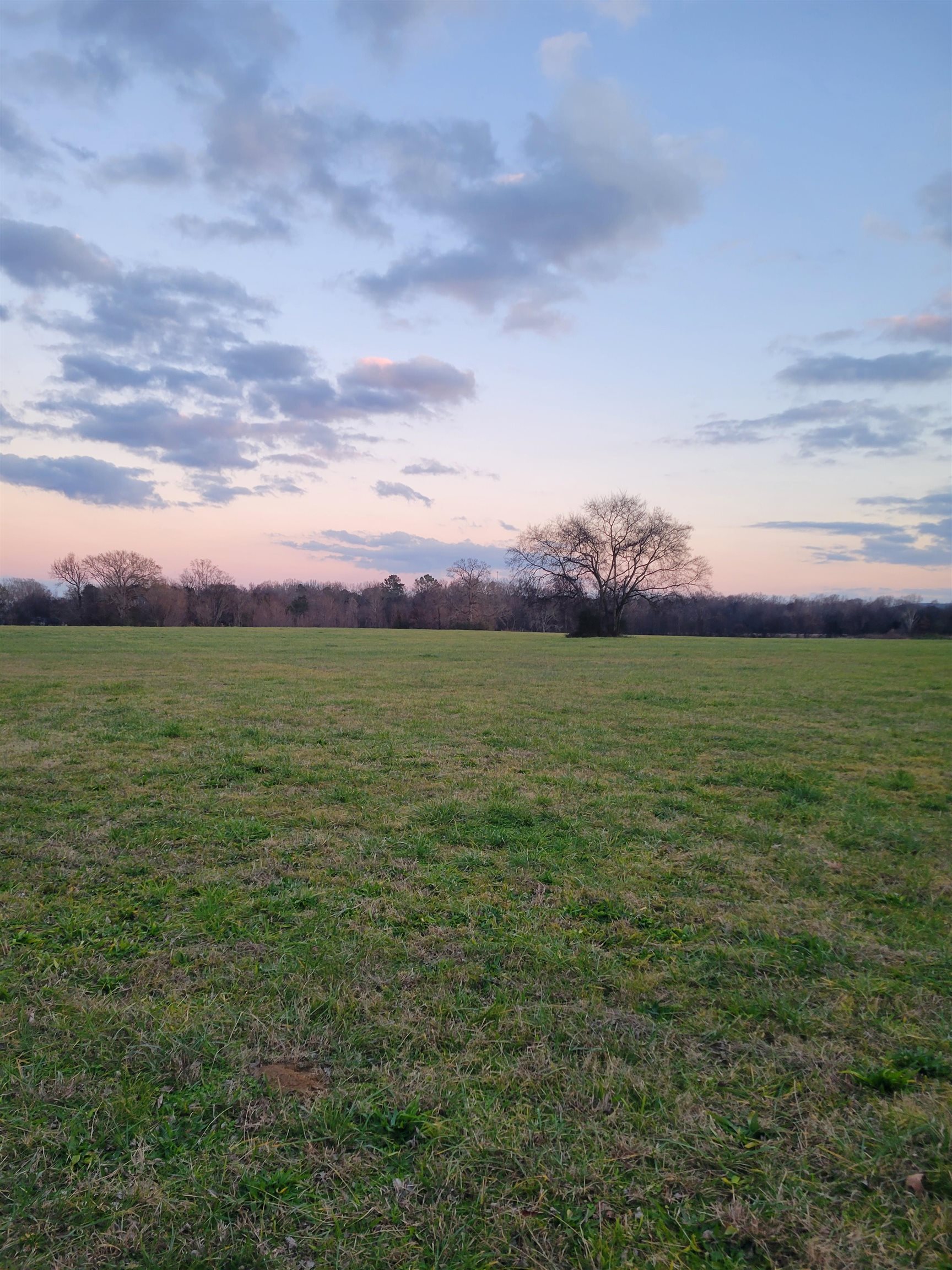 0 Hwy 24, Russellville, AL 35654 — photo 5