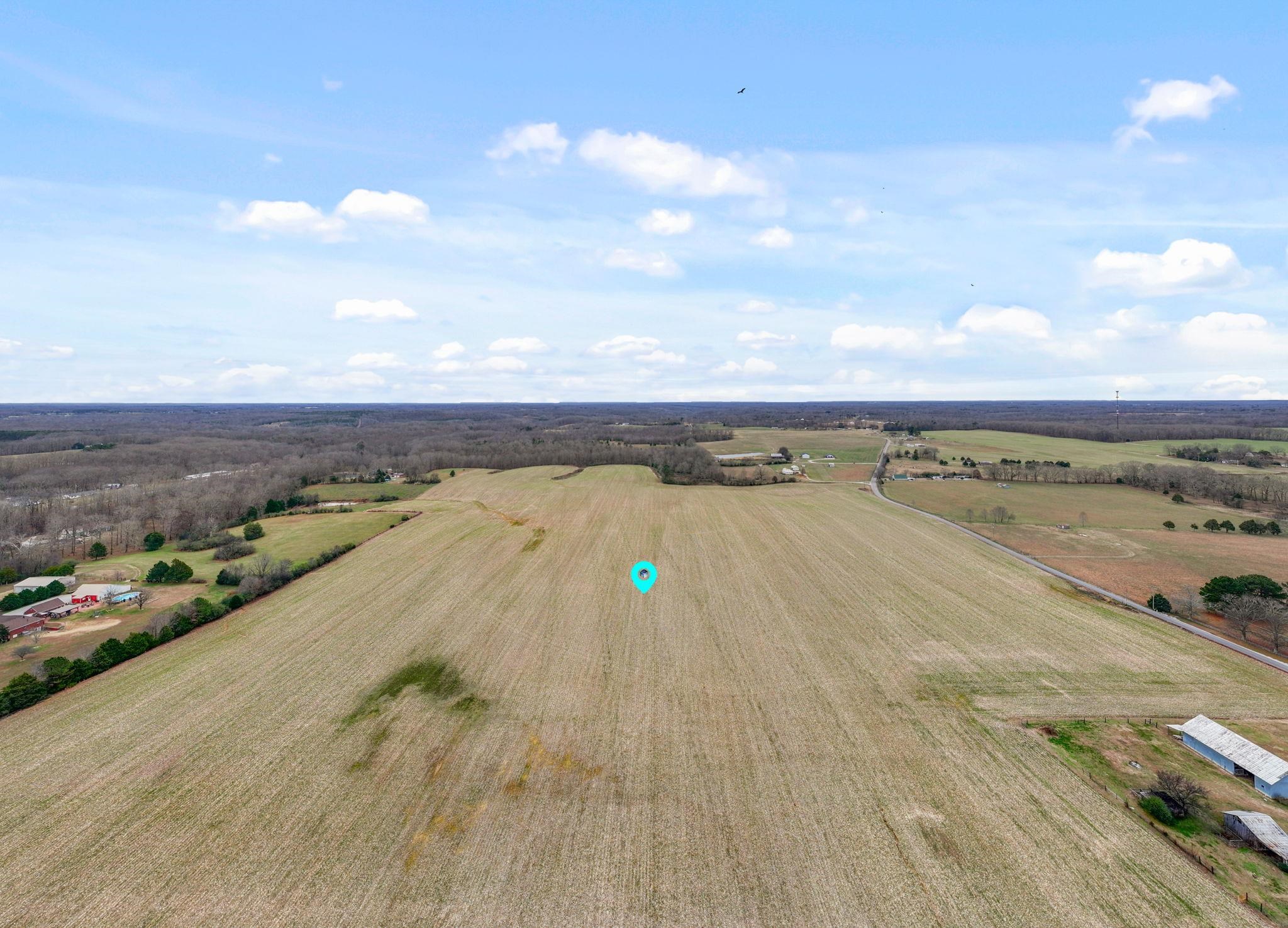 130 Beartown Rd, Loretto, TN 38469 — photo 4