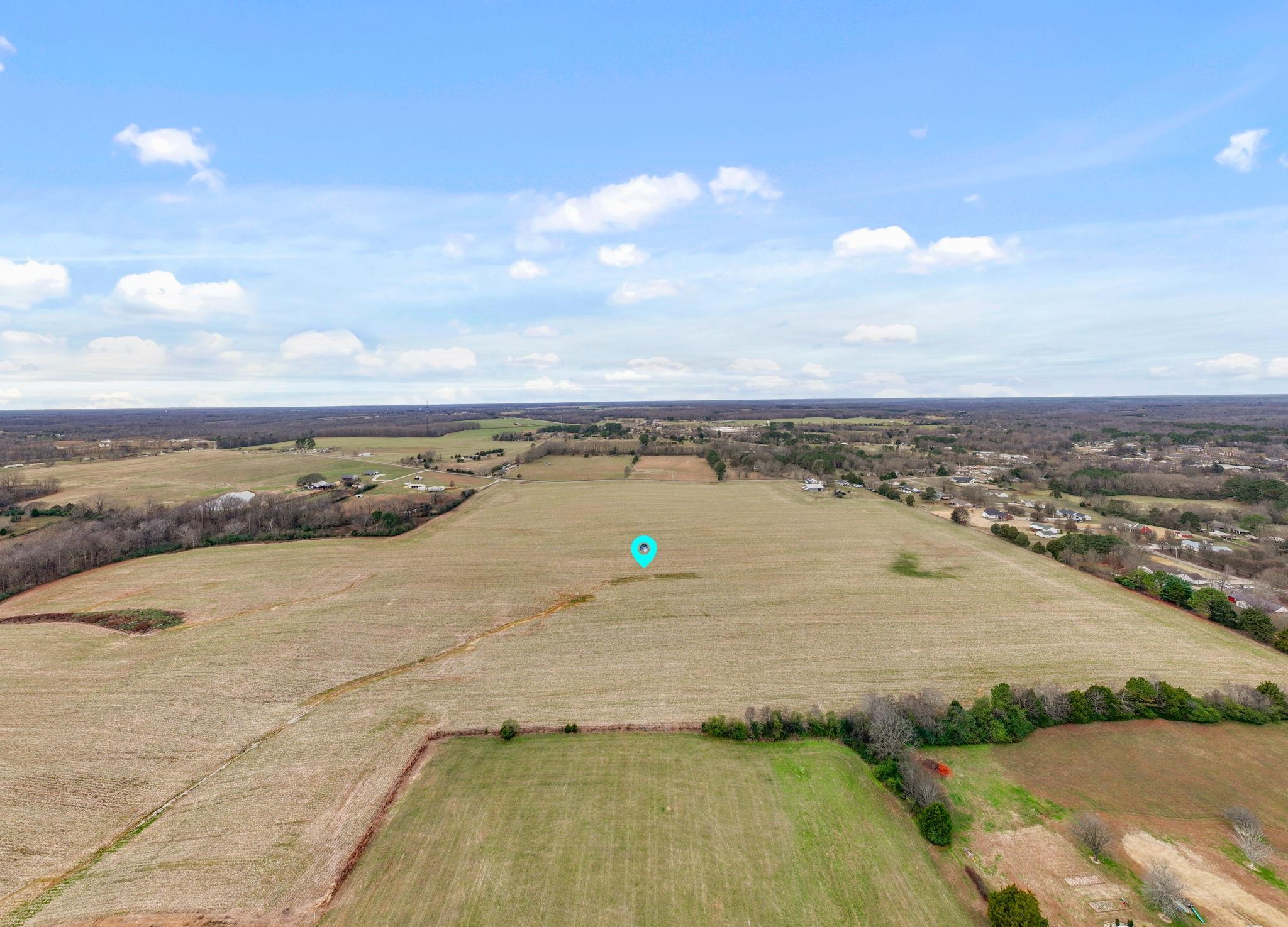 130 Beartown Rd, Loretto, TN 38469 — photo 6
