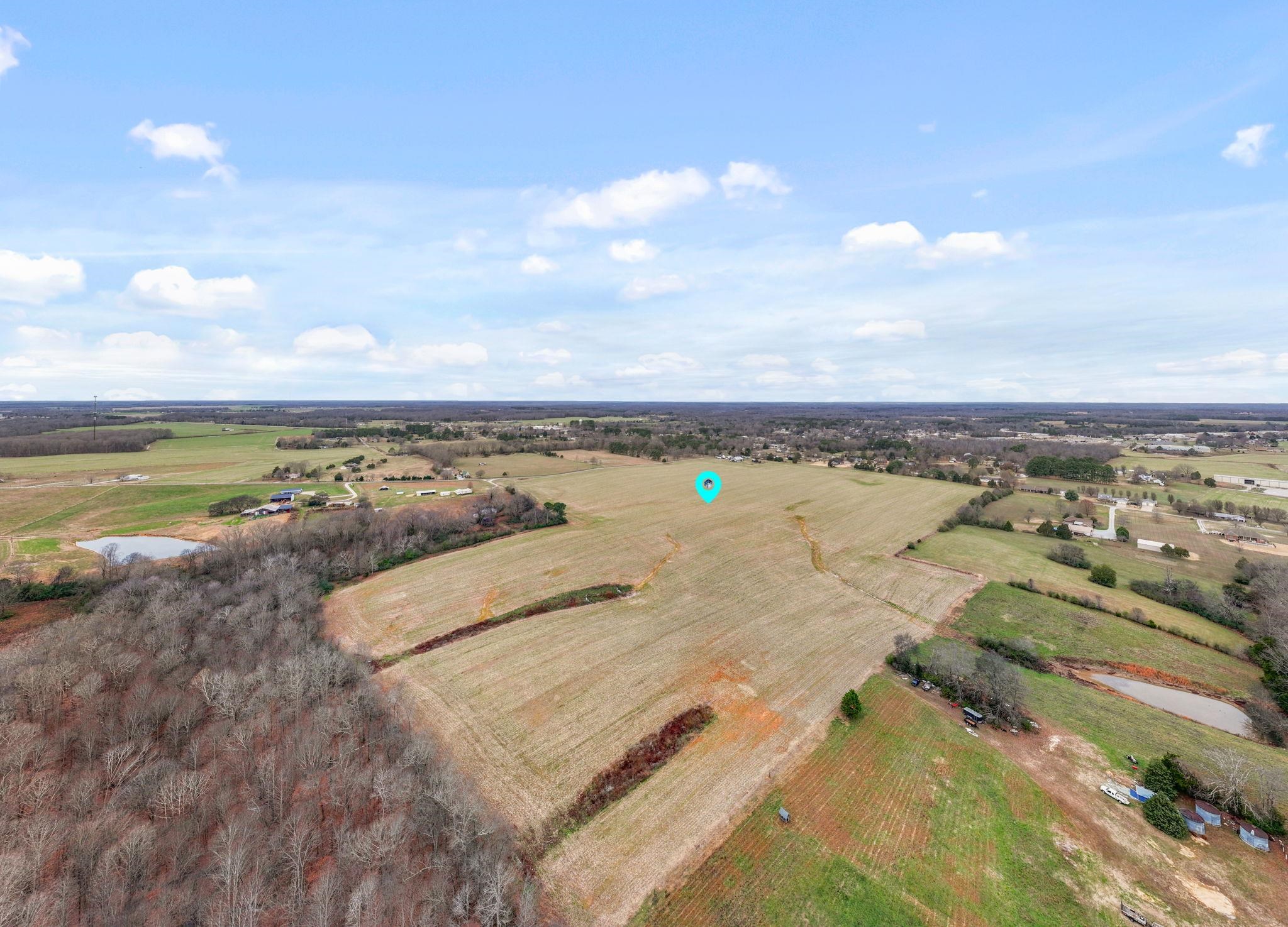 130 Beartown Rd, Loretto, TN 38469 — photo 8