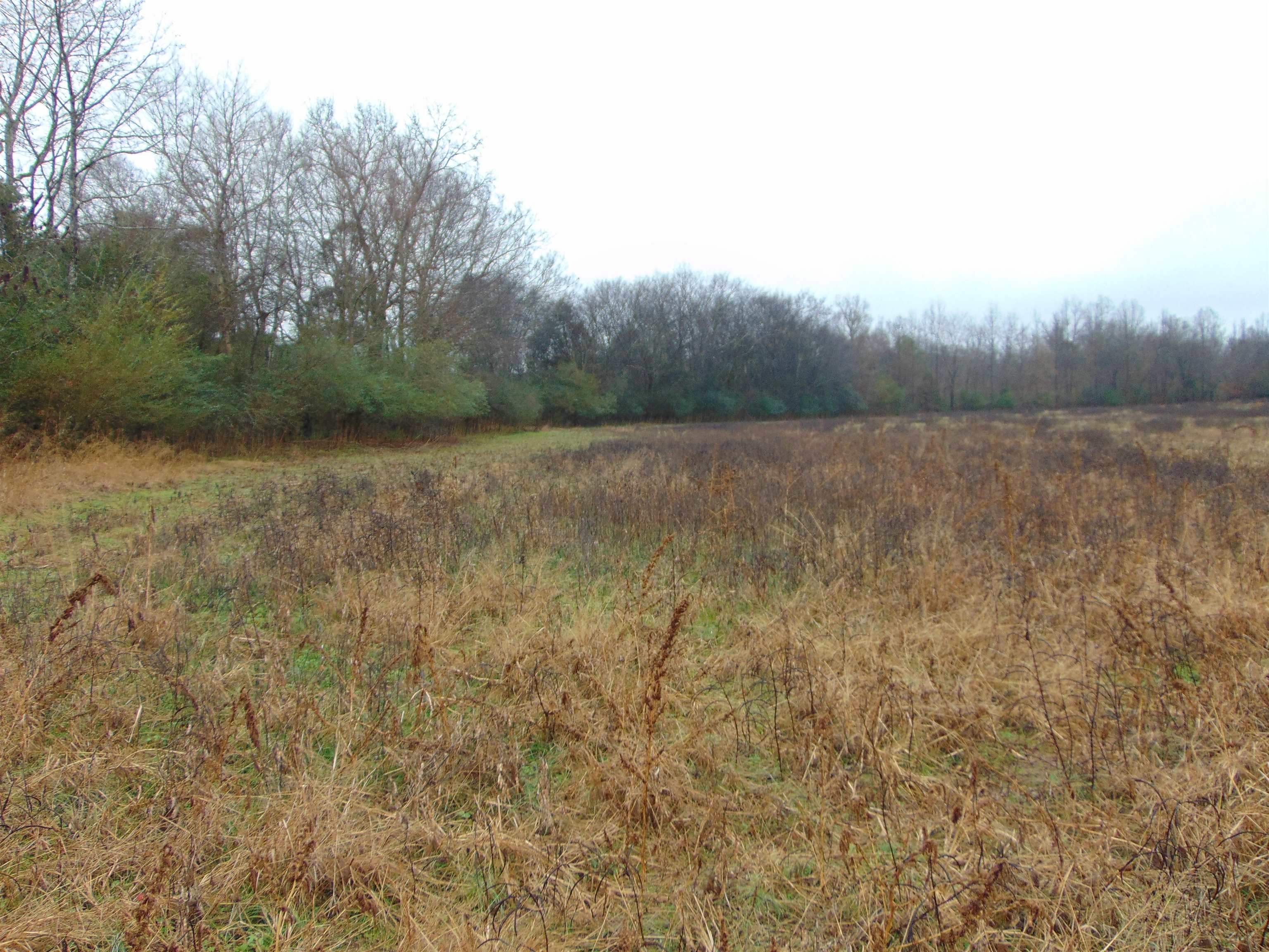 599 Co Rd 342, Killen, AL 35645 — photo 2