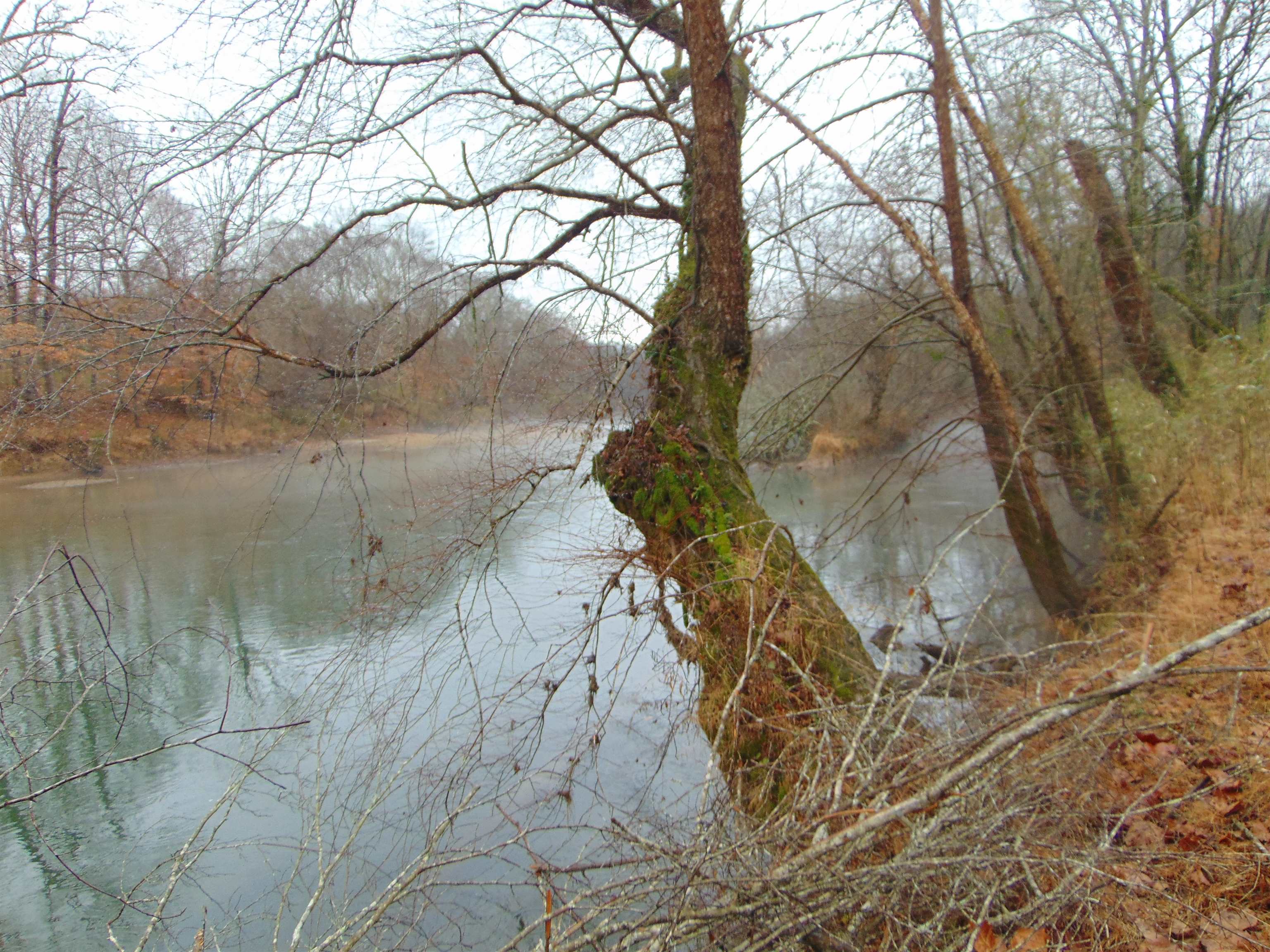 599 Co Rd 342, Killen, AL 35645 — photo 5