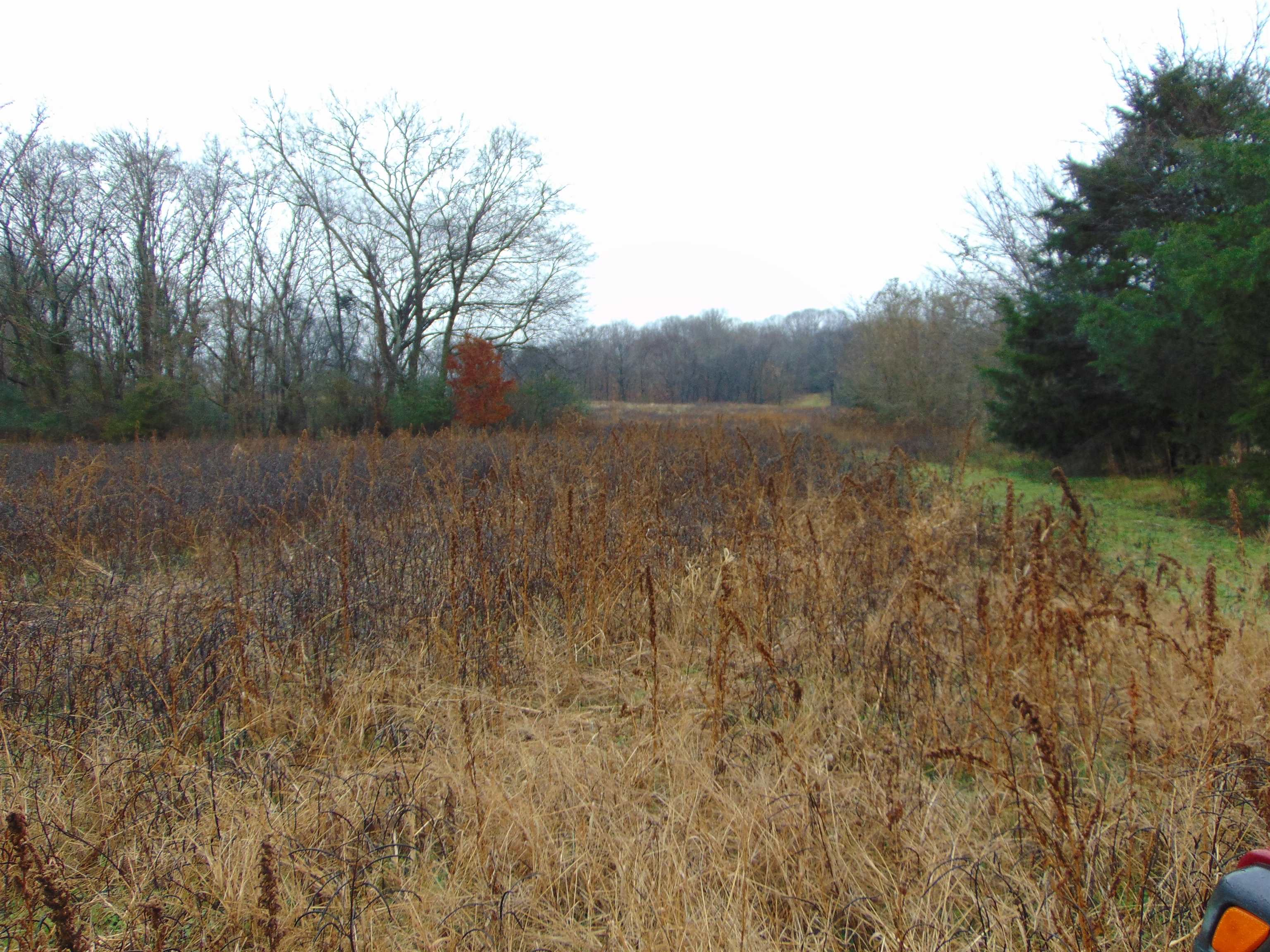 599 Co Rd 342, Killen, AL 35645 — photo 6