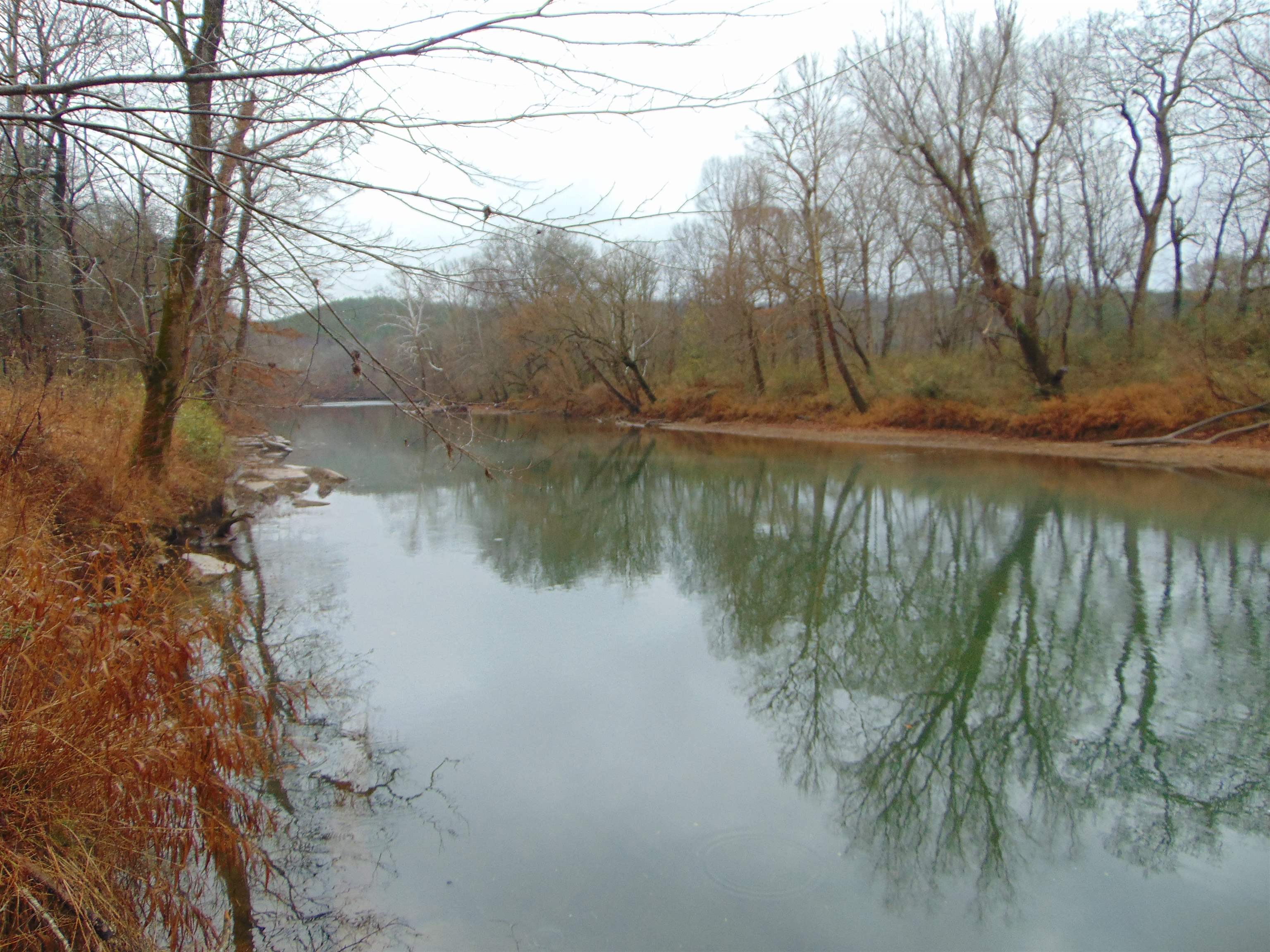 599 Co Rd 342, Killen, AL 35645 — photo 8