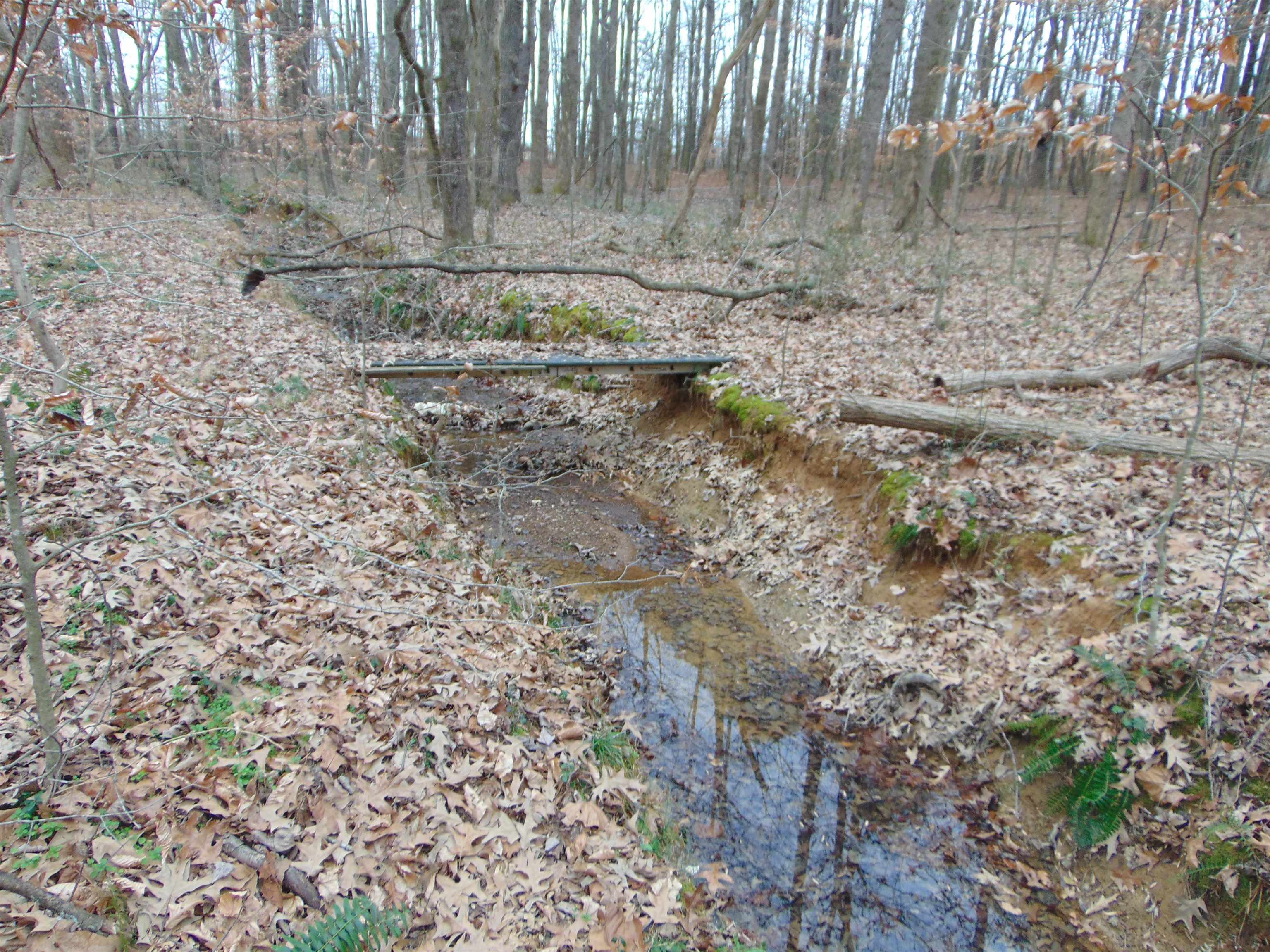 11 Bob Section Rd, Hazel Green, AL 35750 — photo 1