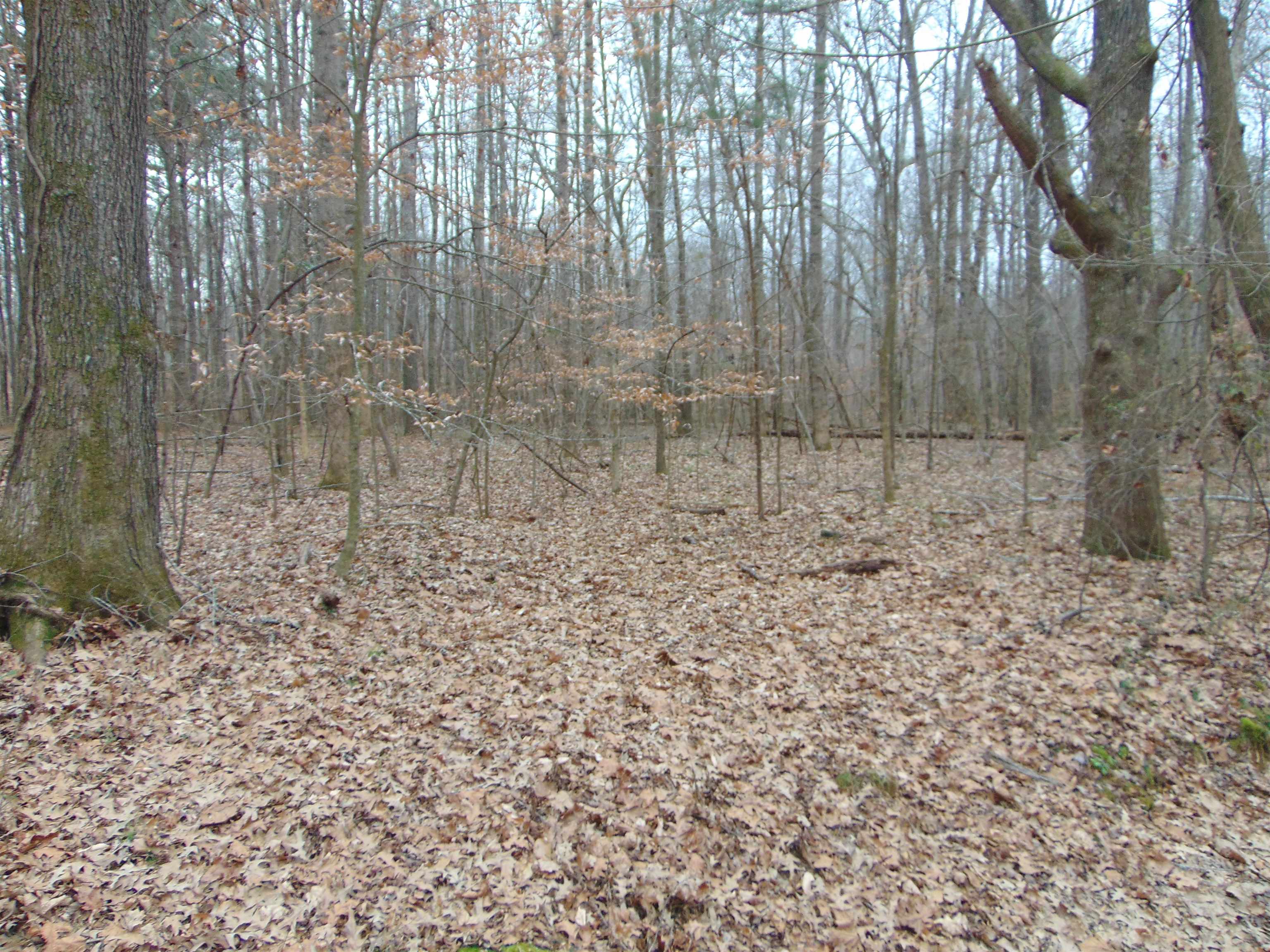 11 Bob Section Rd, Hazel Green, AL 35750 — photo 11