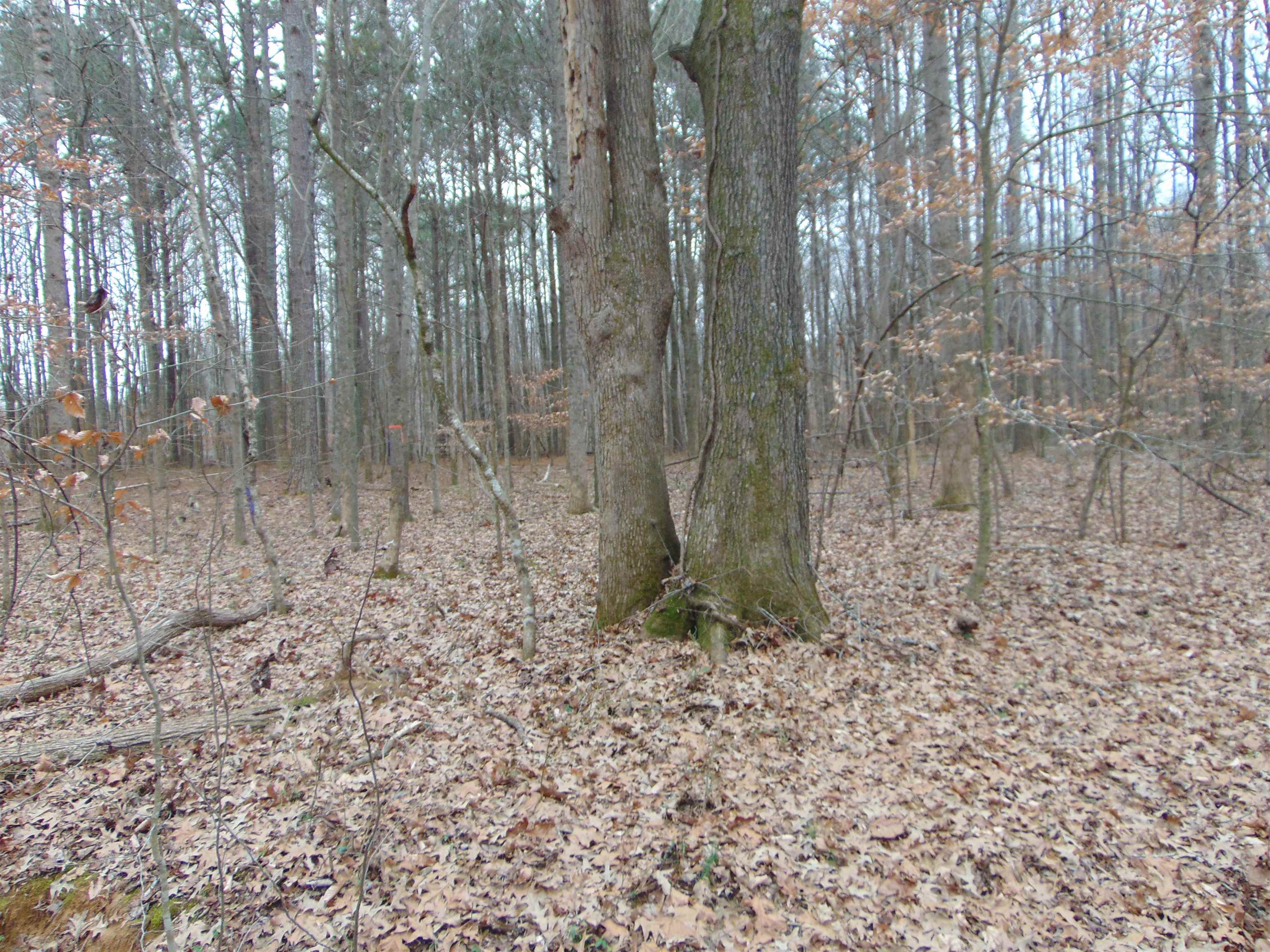 11 Bob Section Rd, Hazel Green, AL 35750 — photo 12
