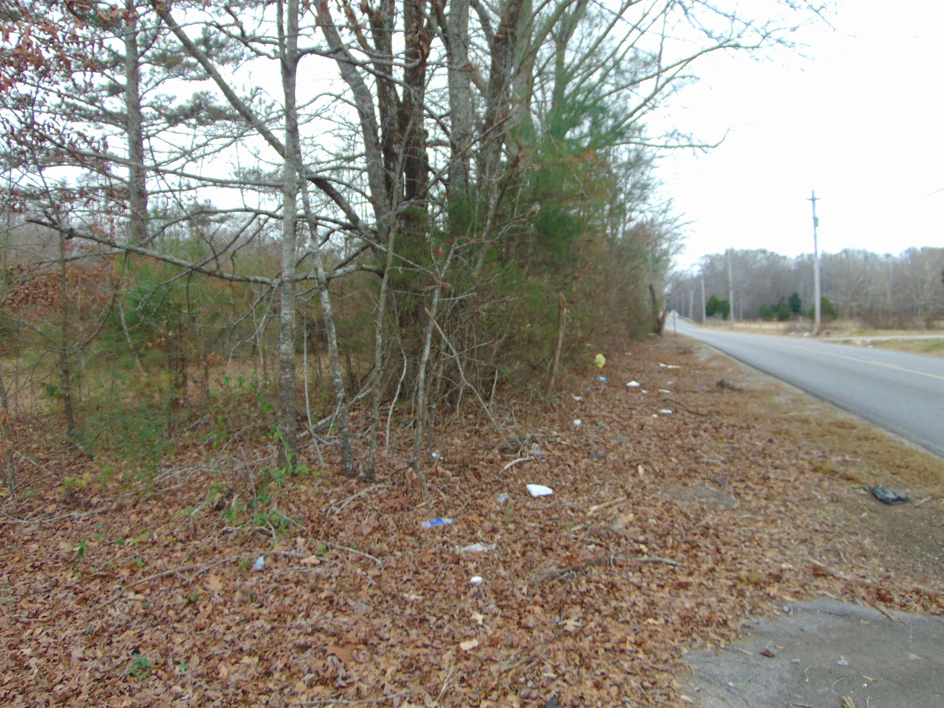 11 Bob Section Rd, Hazel Green, AL 35750 — photo 3