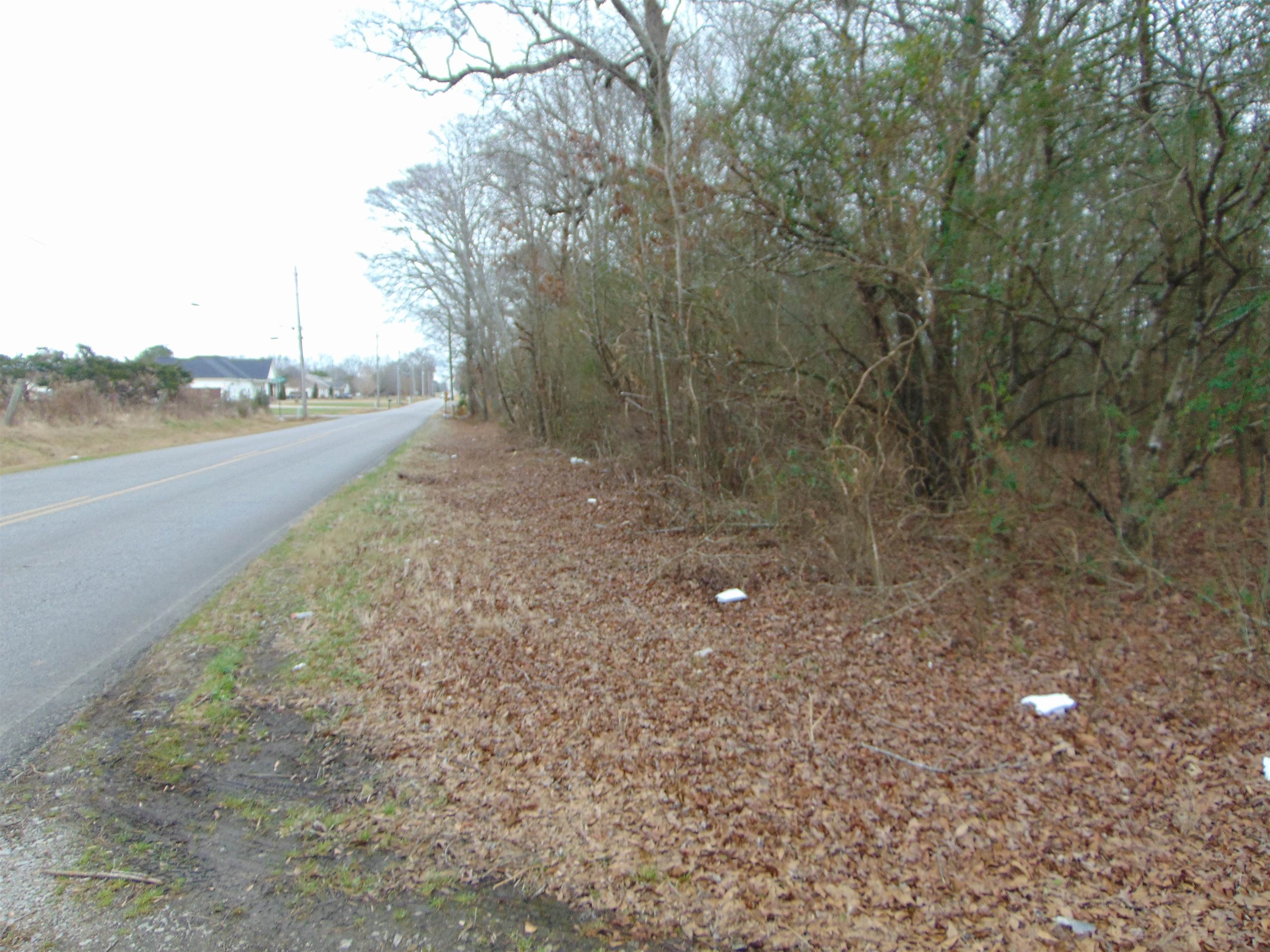 11 Bob Section Rd, Hazel Green, AL 35750 — photo 4