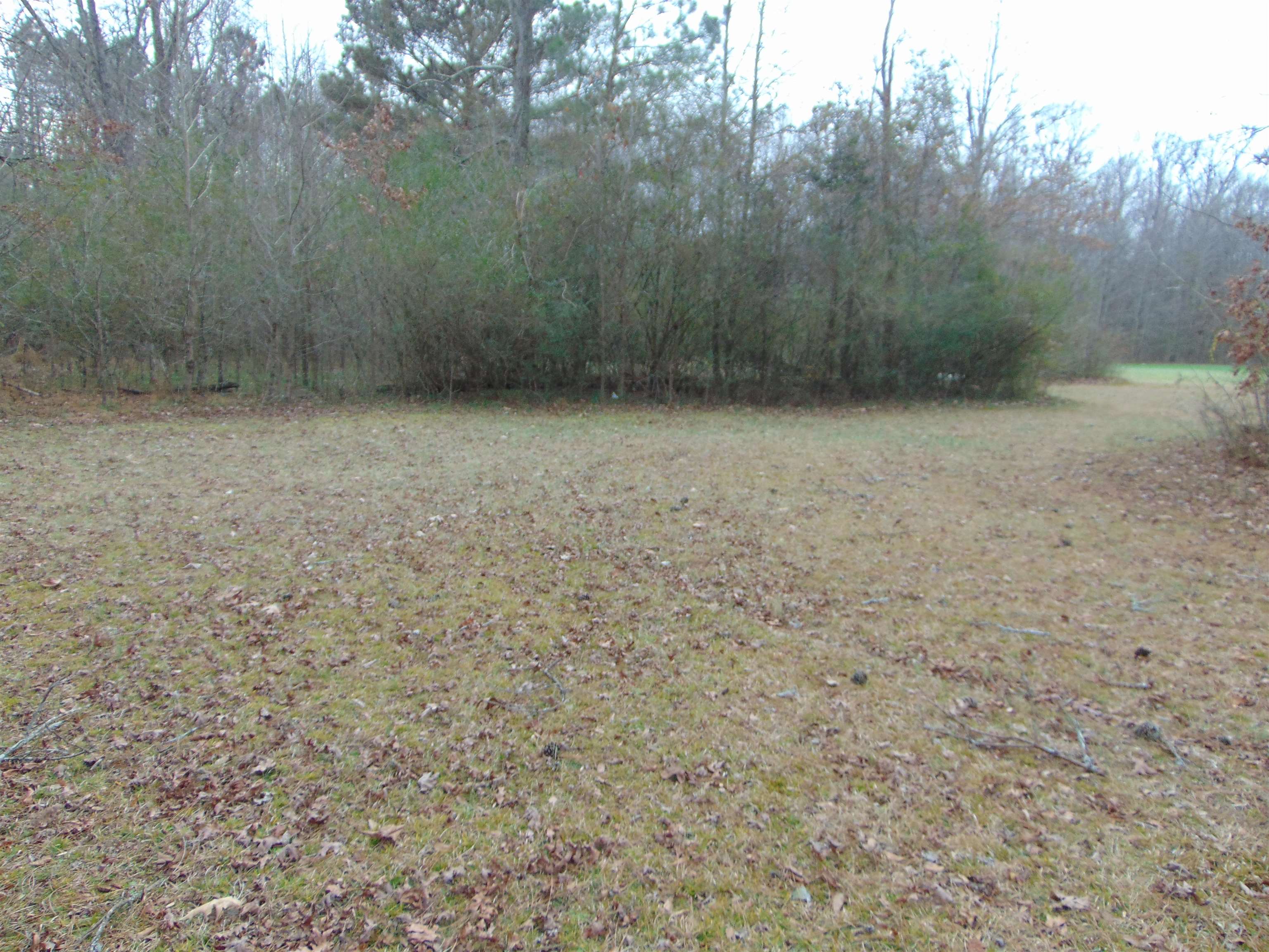 11 Bob Section Rd, Hazel Green, AL 35750 — photo 5