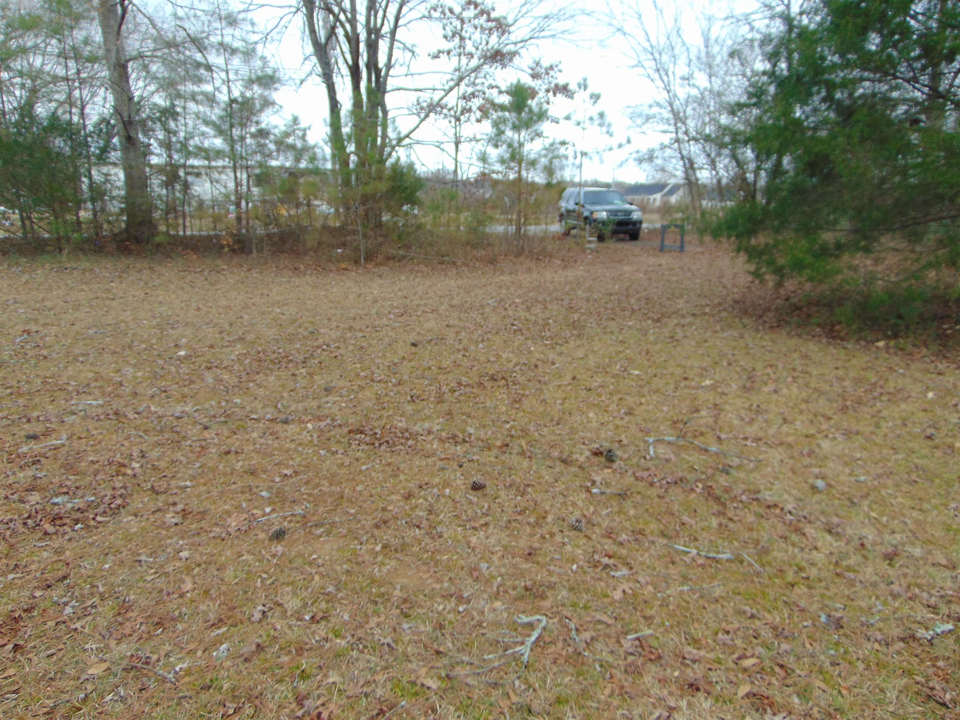 11 Bob Section Rd, Hazel Green, AL 35750 — photo 6