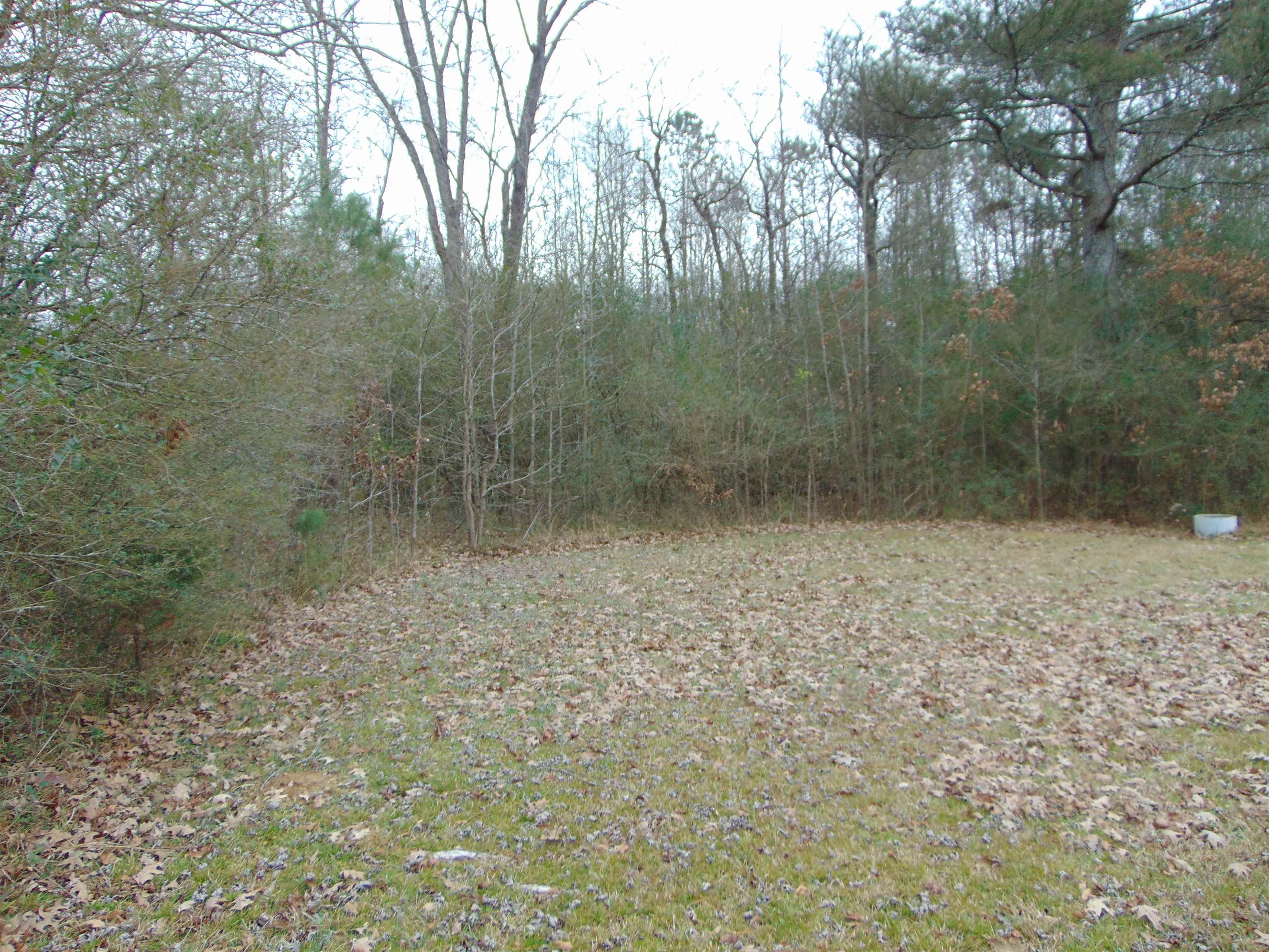 11 Bob Section Rd, Hazel Green, AL 35750 — photo 8