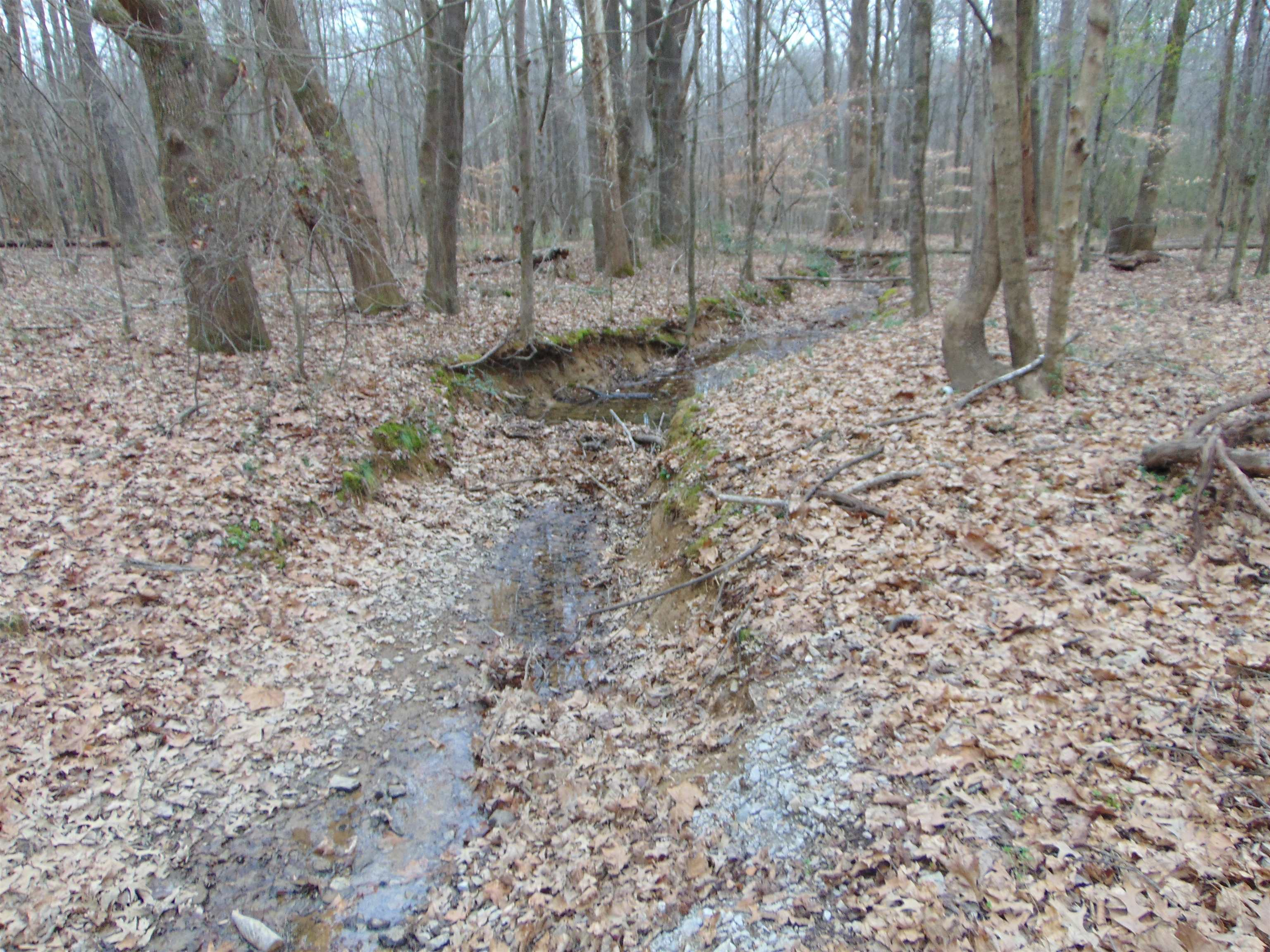 11 Bob Section Rd, Hazel Green, AL 35750 — photo 9