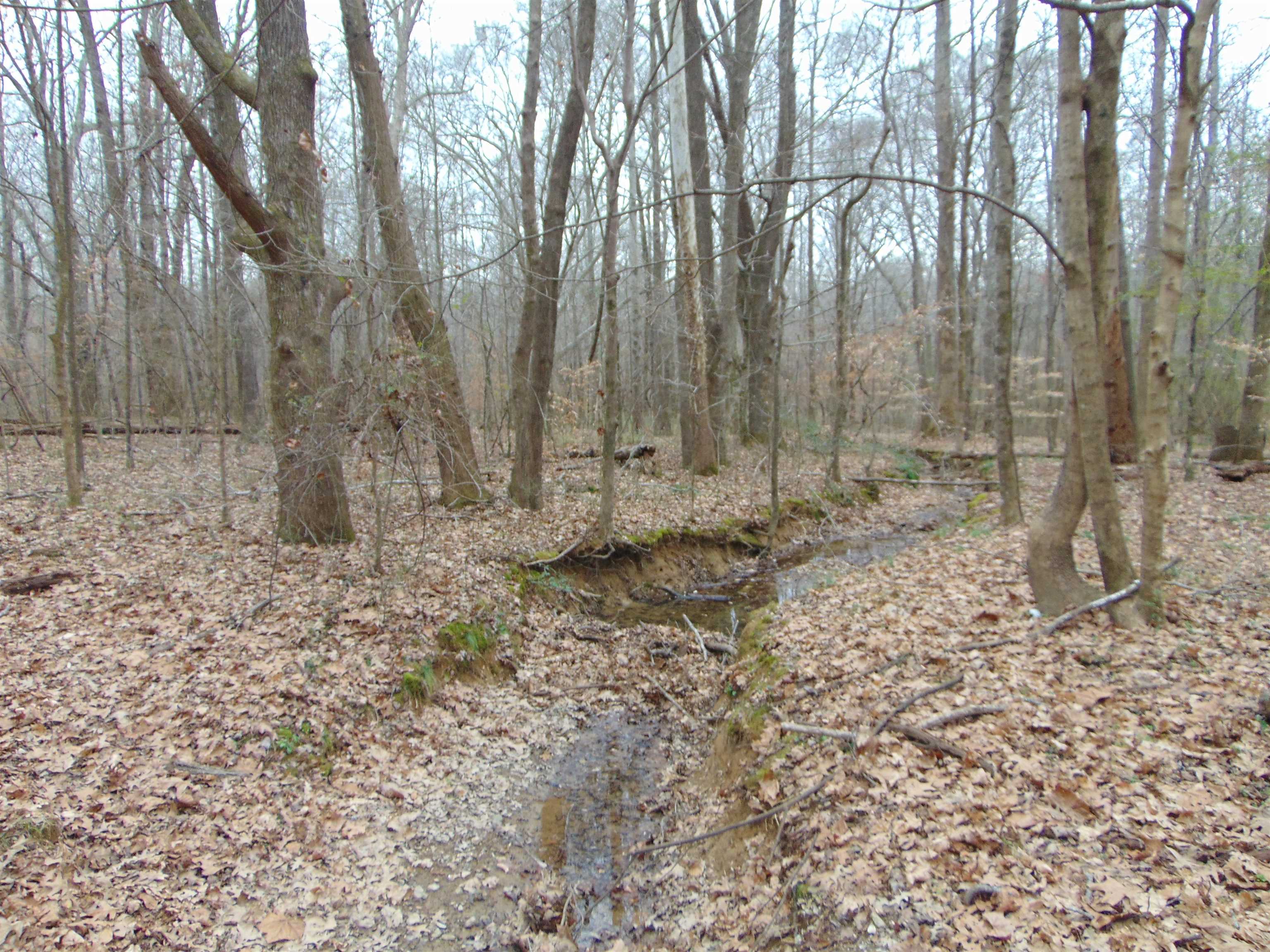 11 Bob Section Rd, Hazel Green, AL 35750 — photo 10
