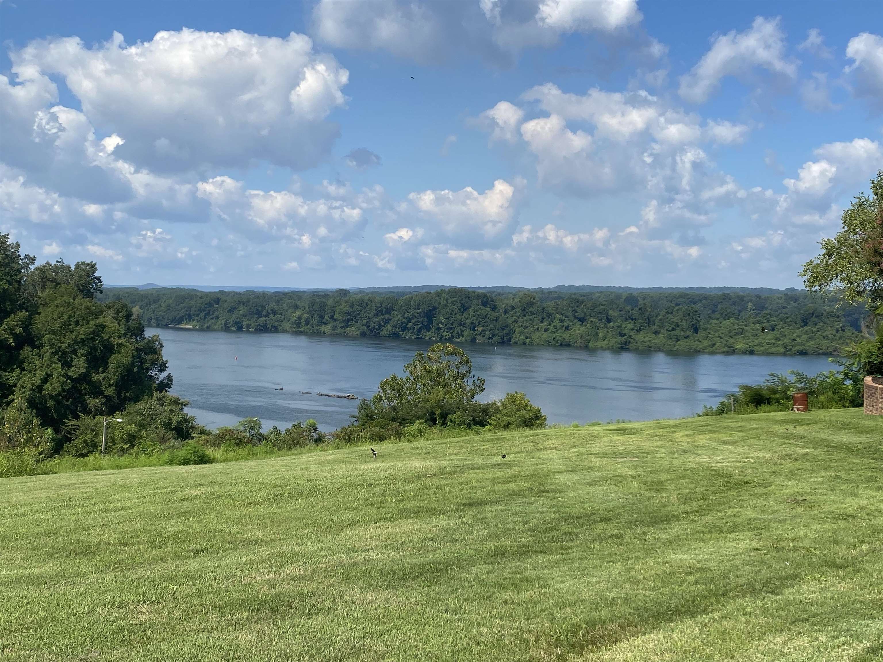 00011 Clear View Dr, Sheffield, AL 35660 — photo 1