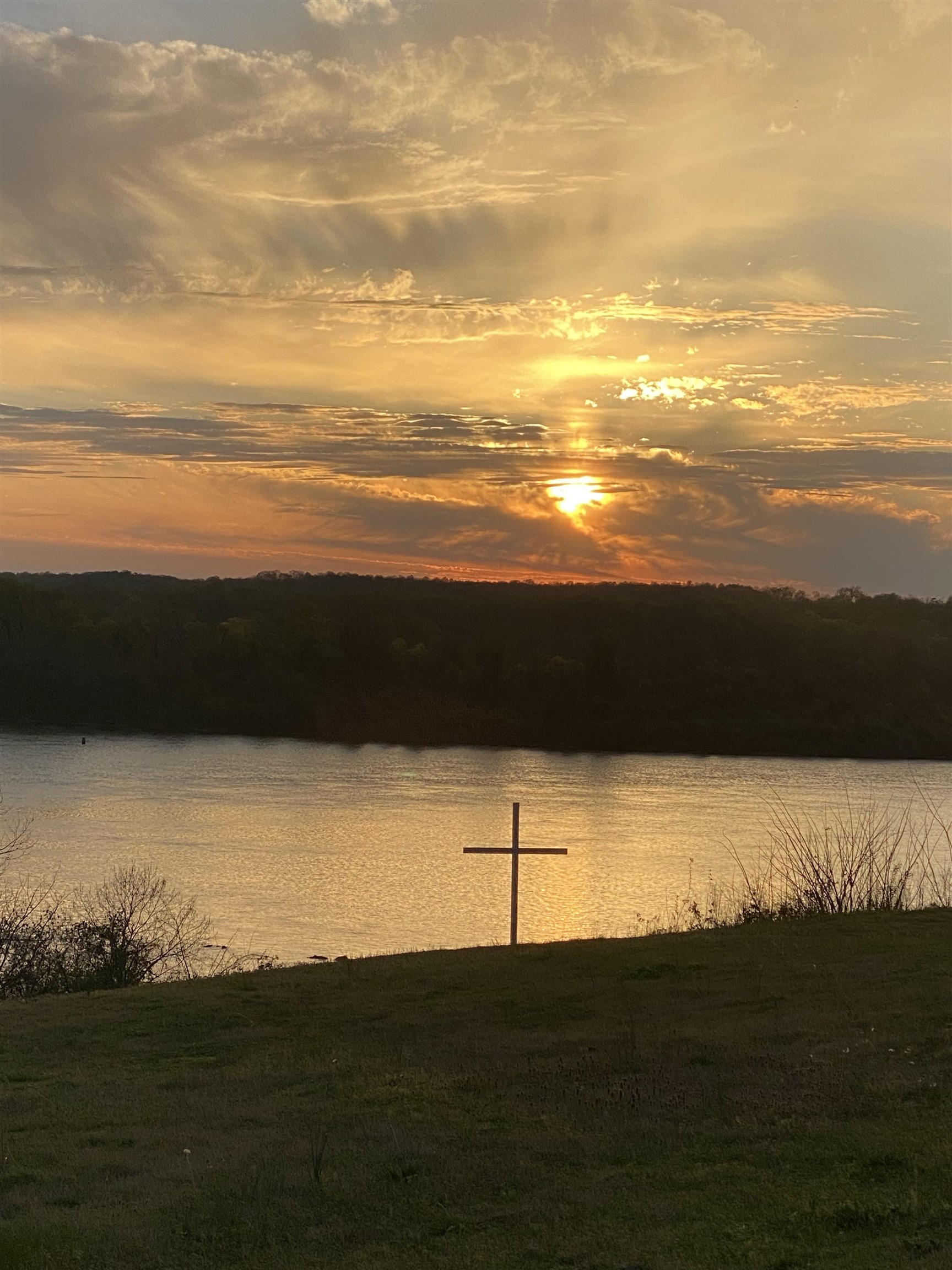 00011 Clear View Dr, Sheffield, AL 35660 — photo 8