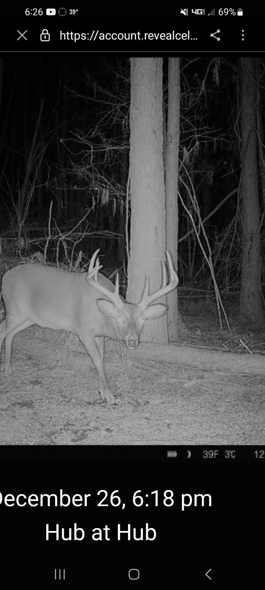 275 Pendley Creek Rd