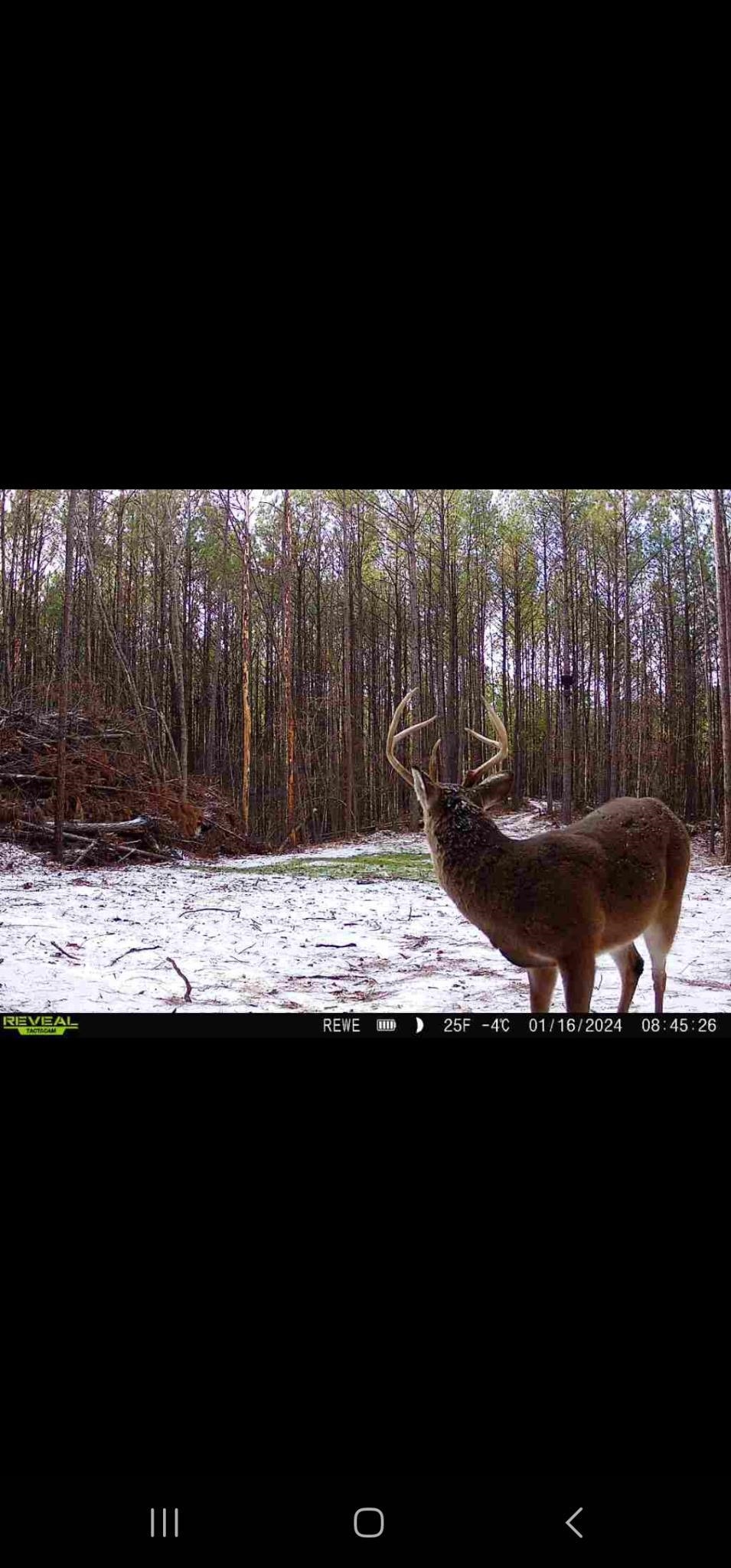 275 Pendley Creek Rd