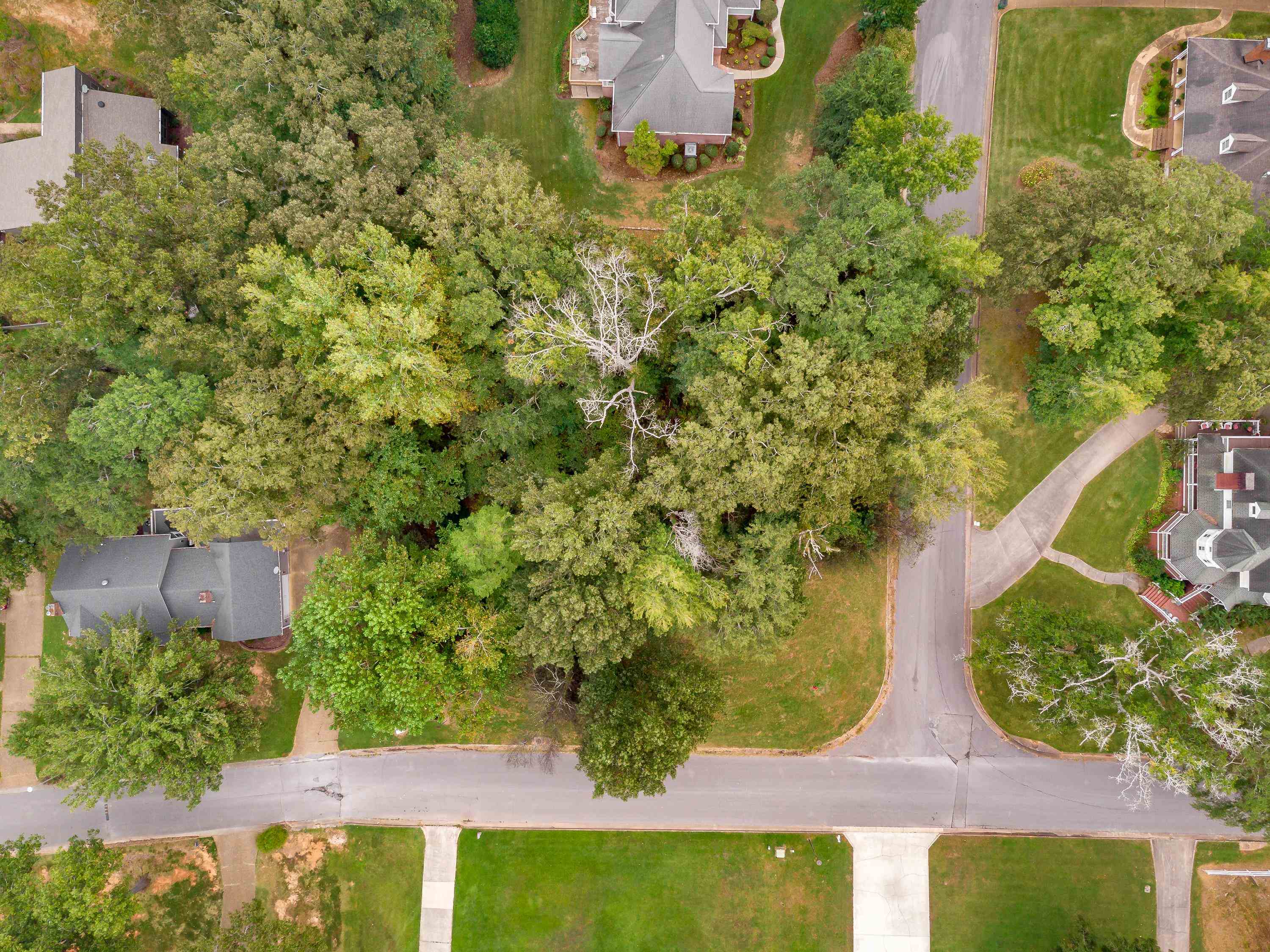 001 Graham Ave, Tuscumbia, AL 35674 — photo 2