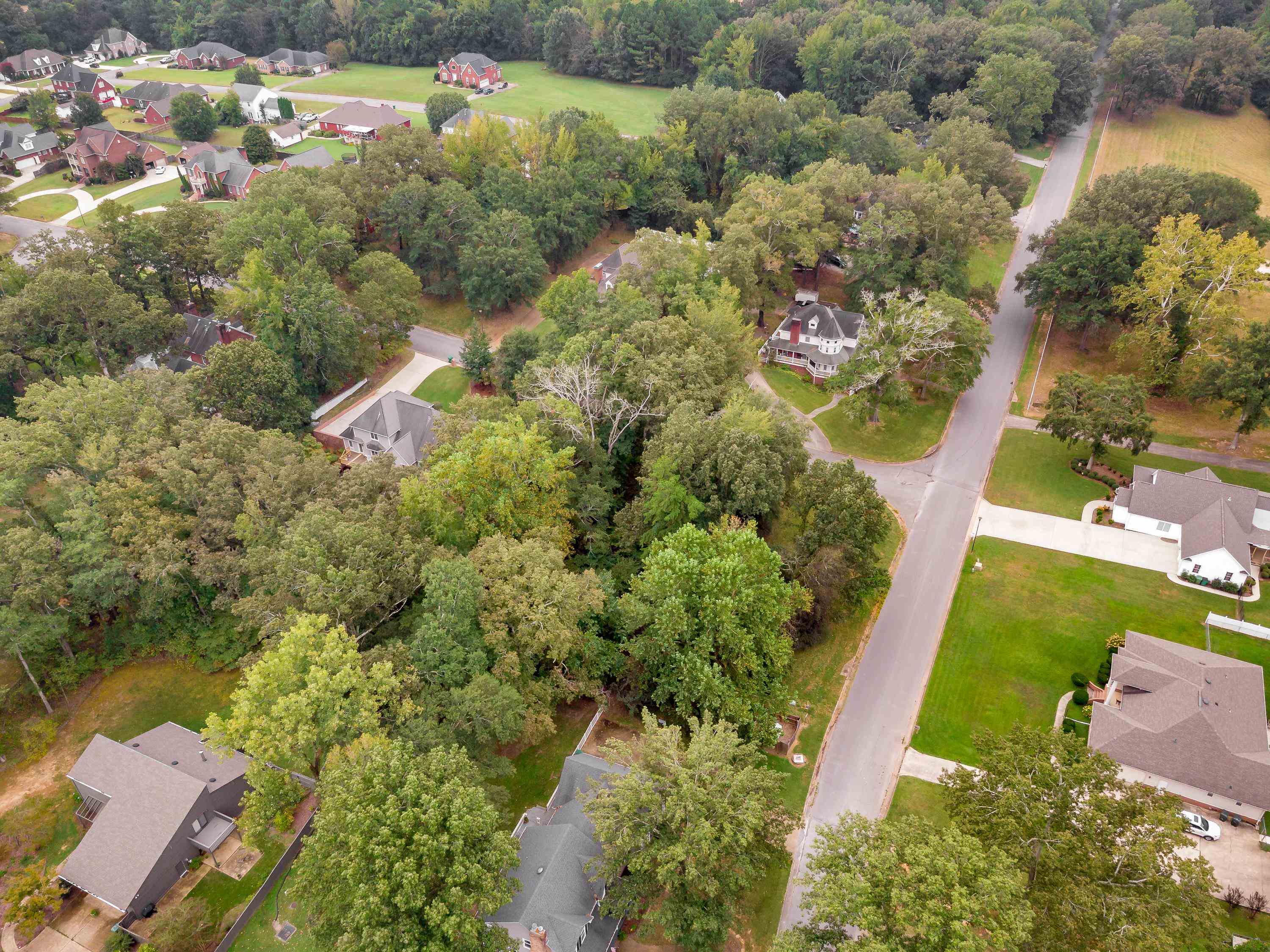 001 Graham Ave, Tuscumbia, AL 35674 — photo 12