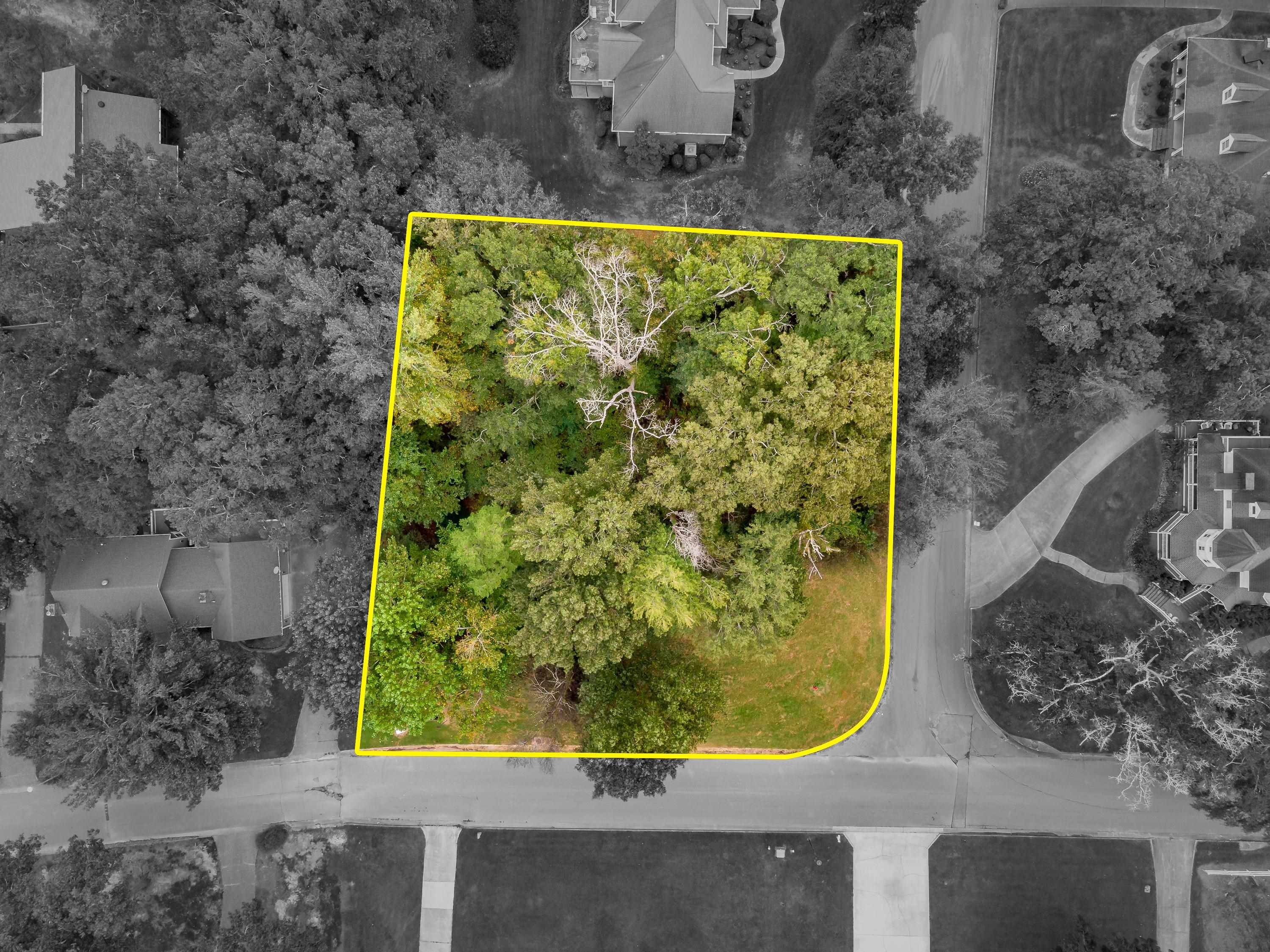 001 Graham Ave, Tuscumbia, AL 35674 — photo 3
