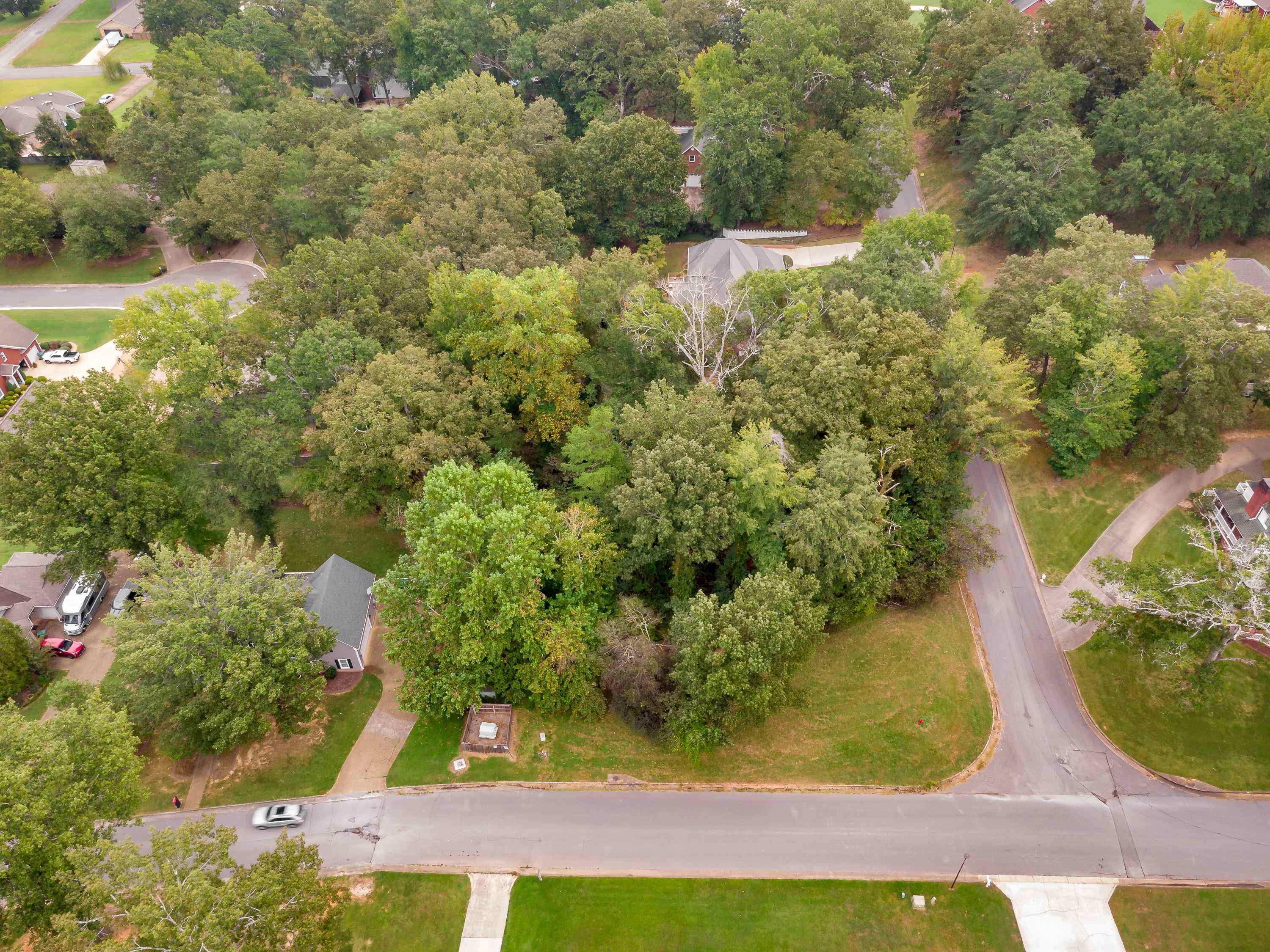 001 Graham Ave, Tuscumbia, AL 35674 — photo 4