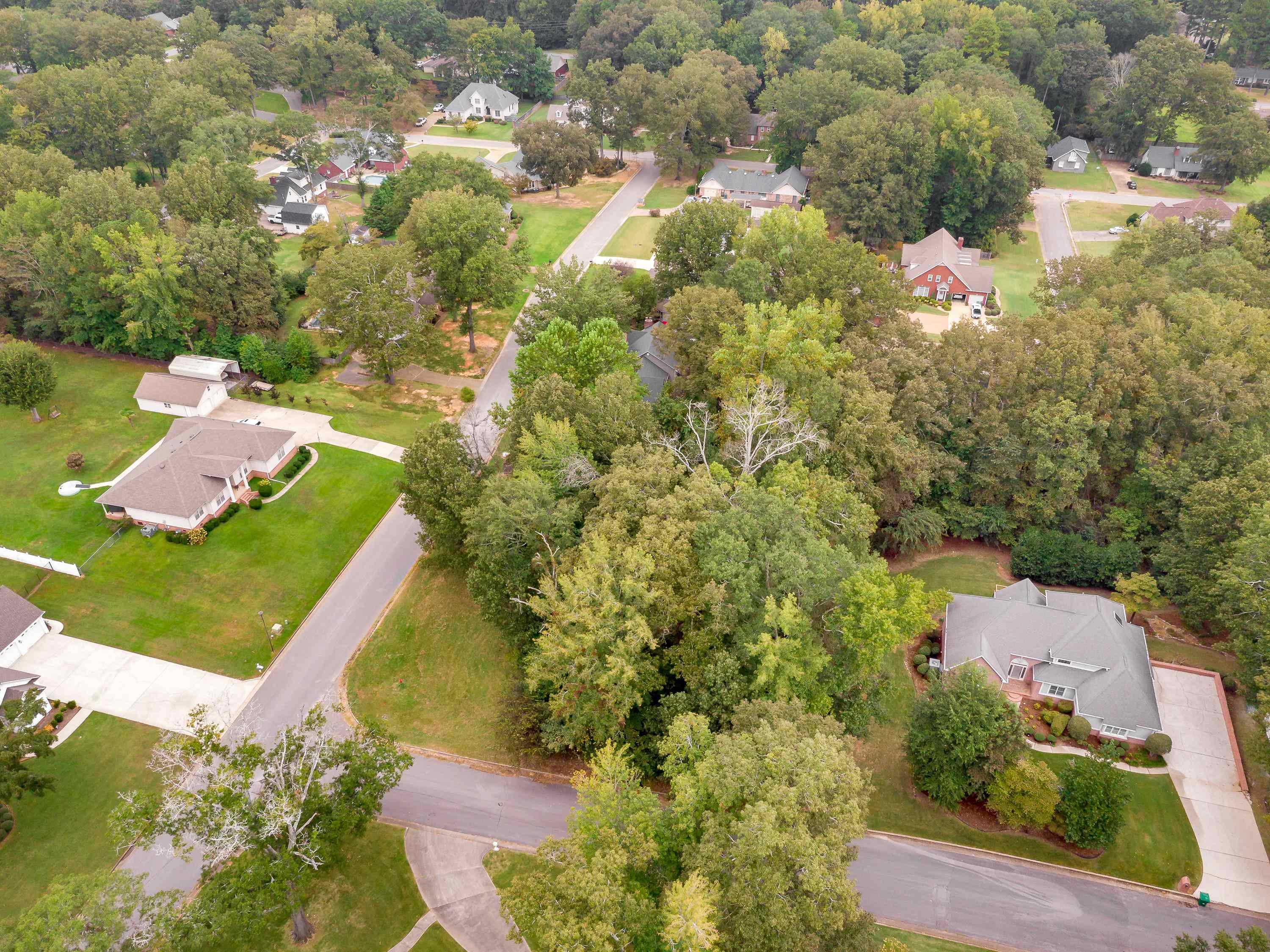 001 Graham Ave, Tuscumbia, AL 35674 — photo 8