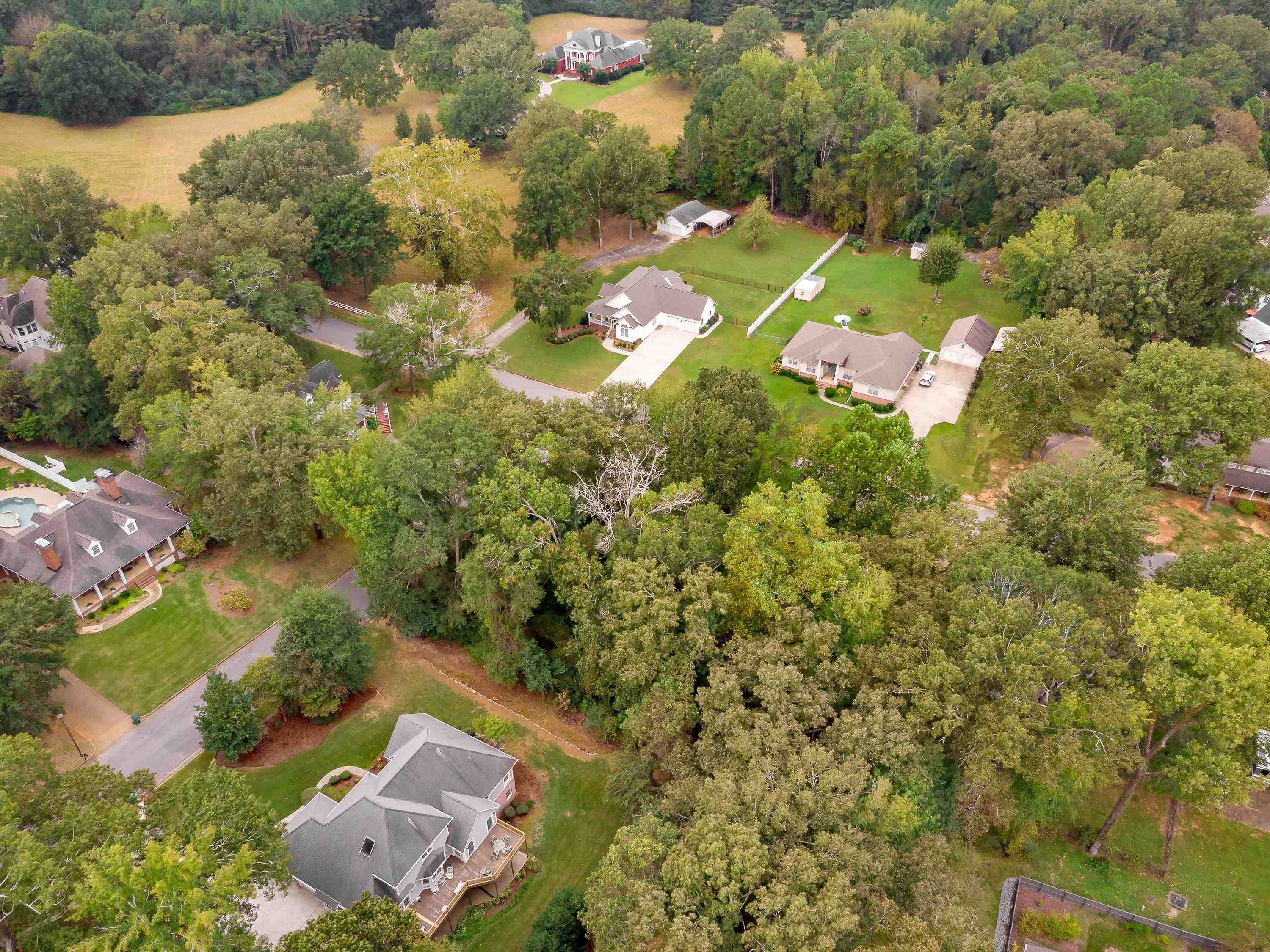 001 Graham Ave, Tuscumbia, AL 35674 — photo 10