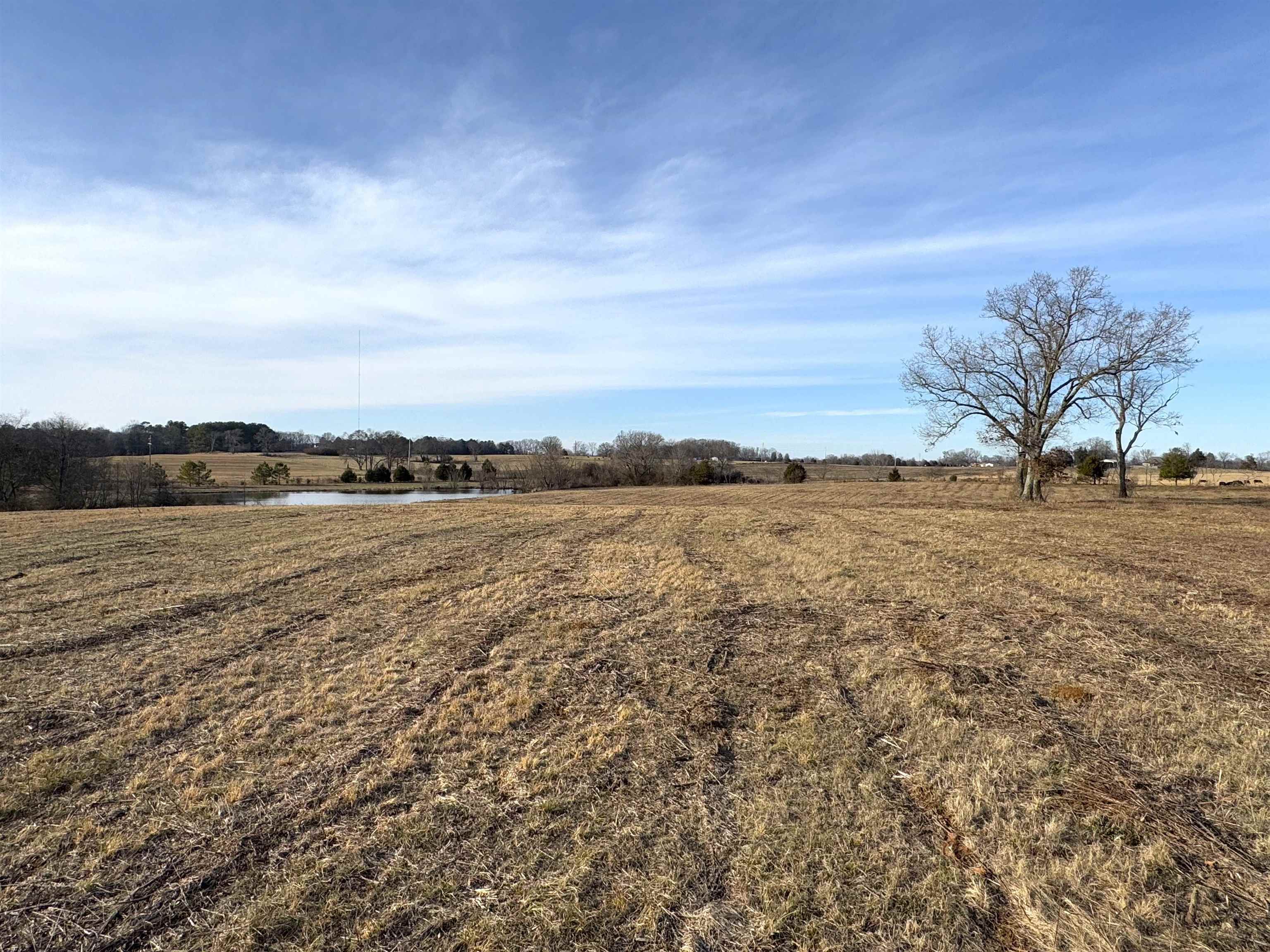 1001 Co Rd 108, Rogersville, AL 35652 — photo 5