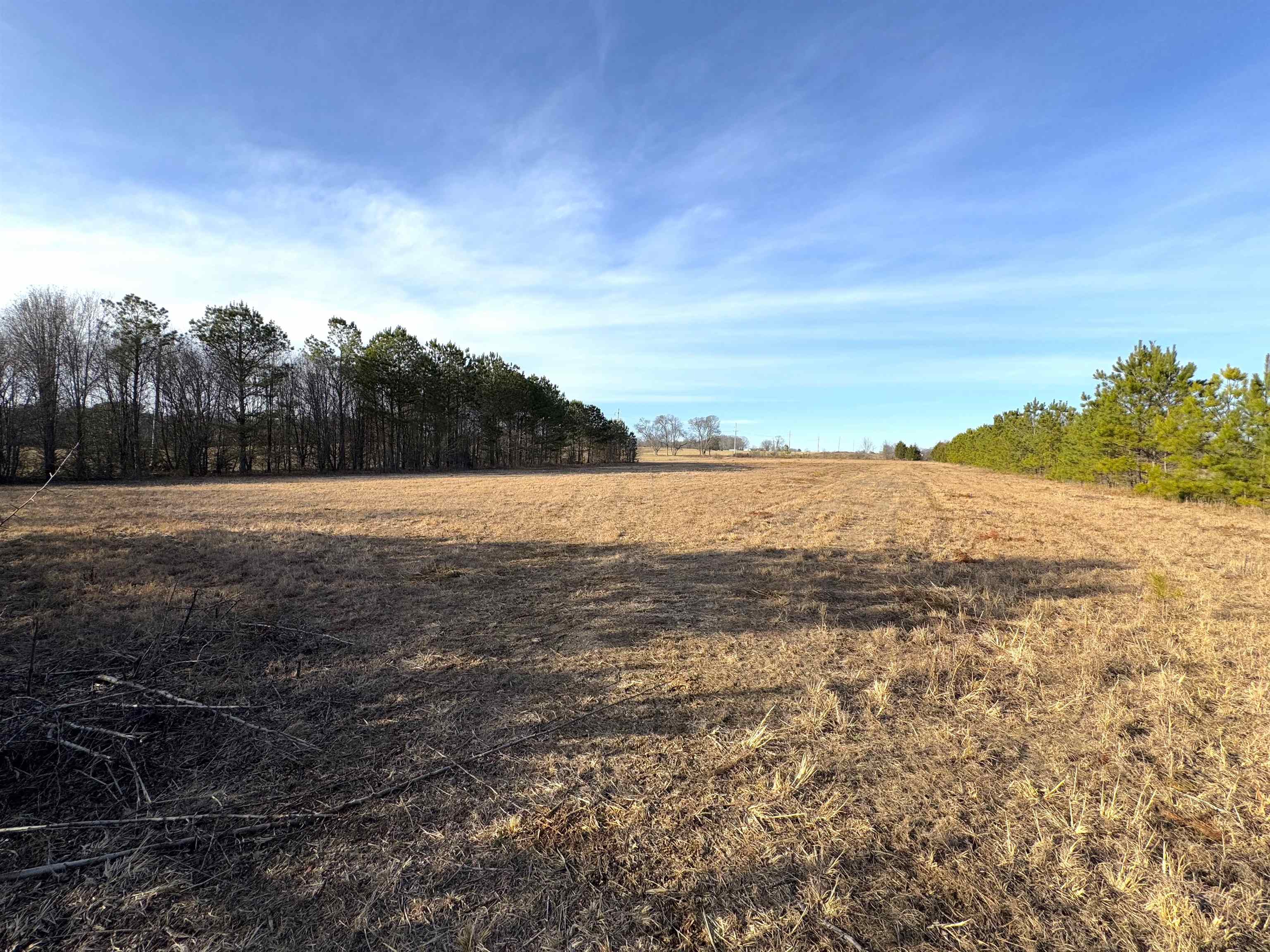 1001 Co Rd 108, Rogersville, AL 35652 — photo 7