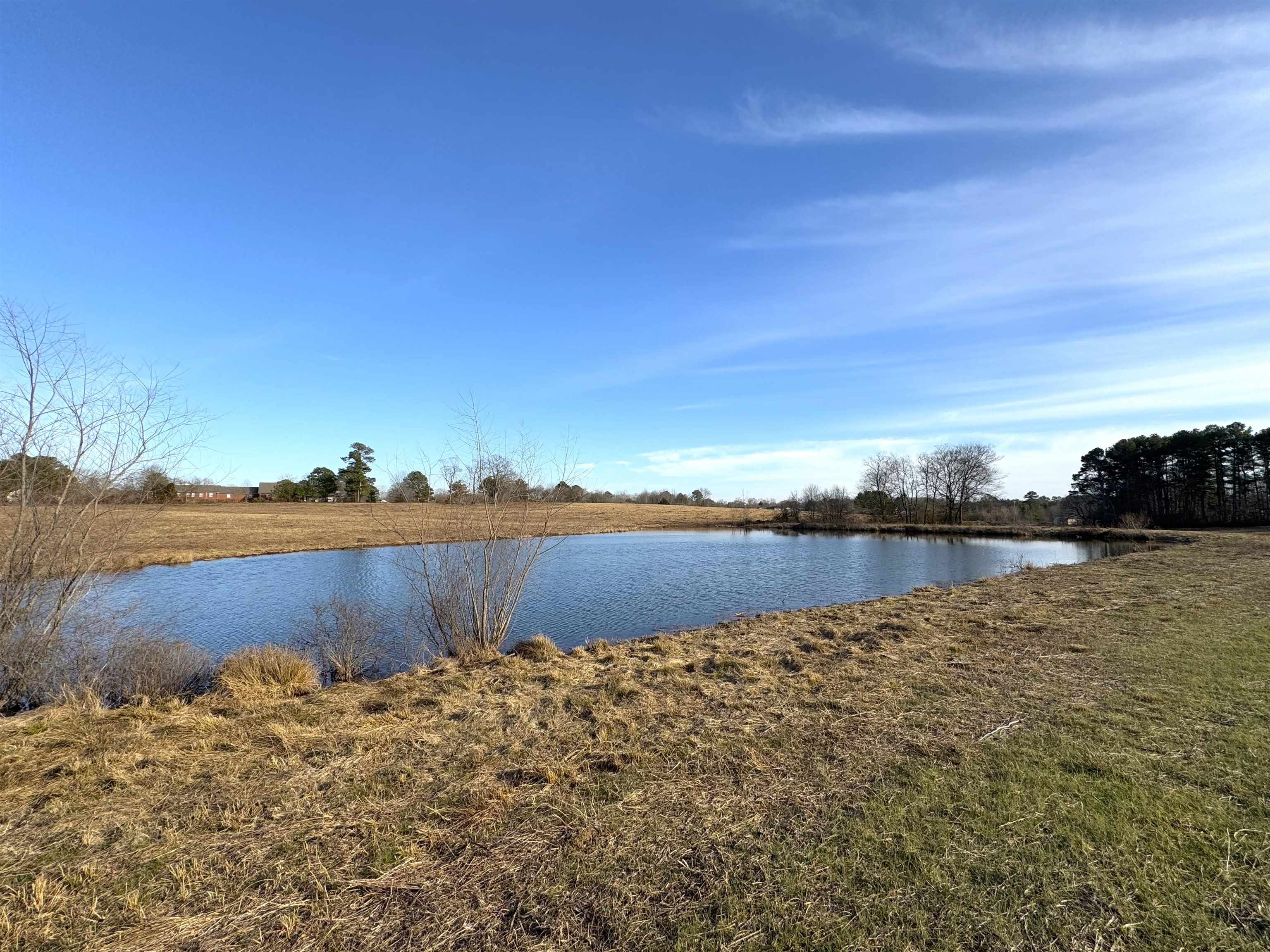 977 Co Rd 108, Rogersville, AL 35652 — photo 2