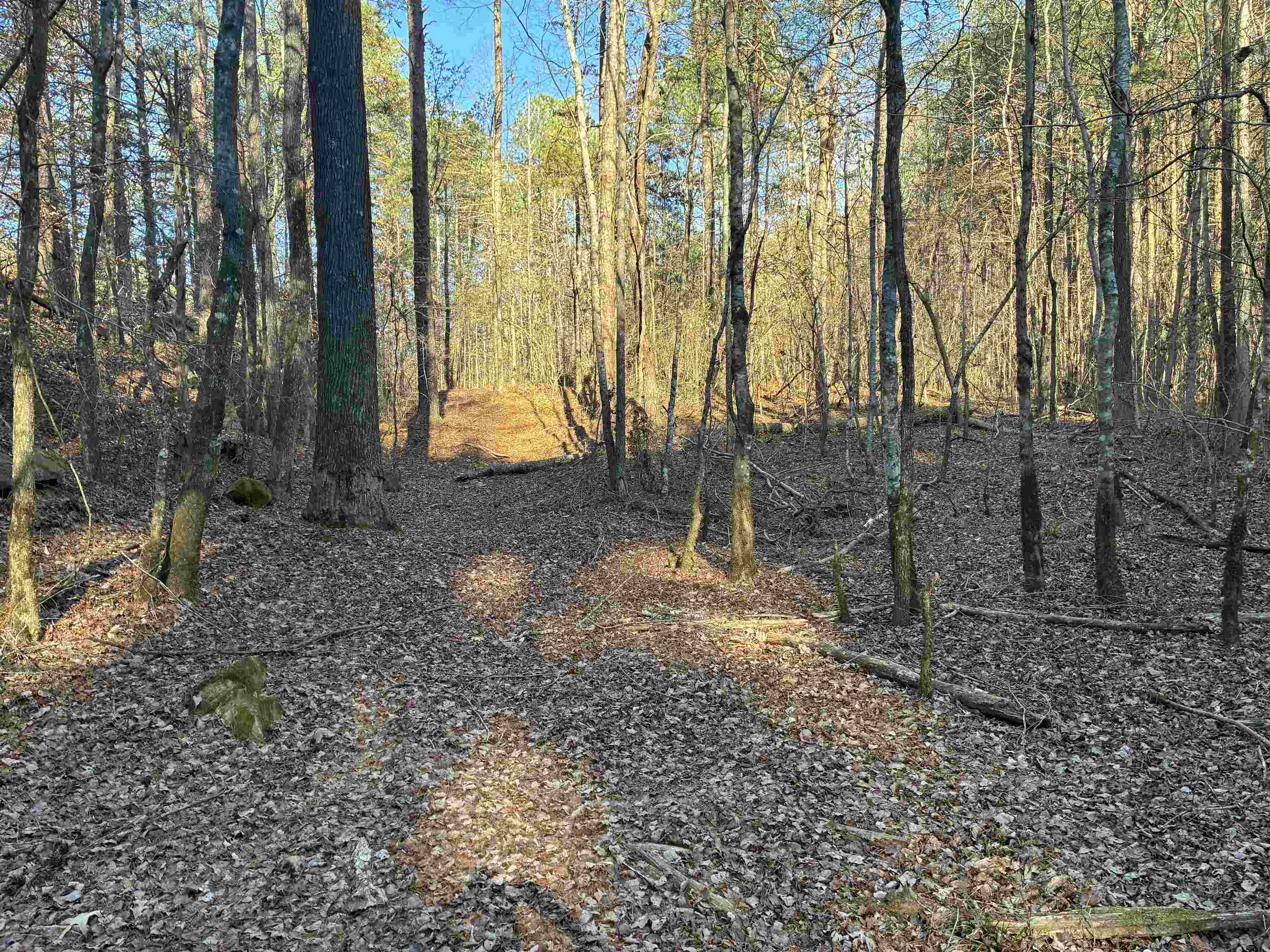 001 Pendley Creek Rd