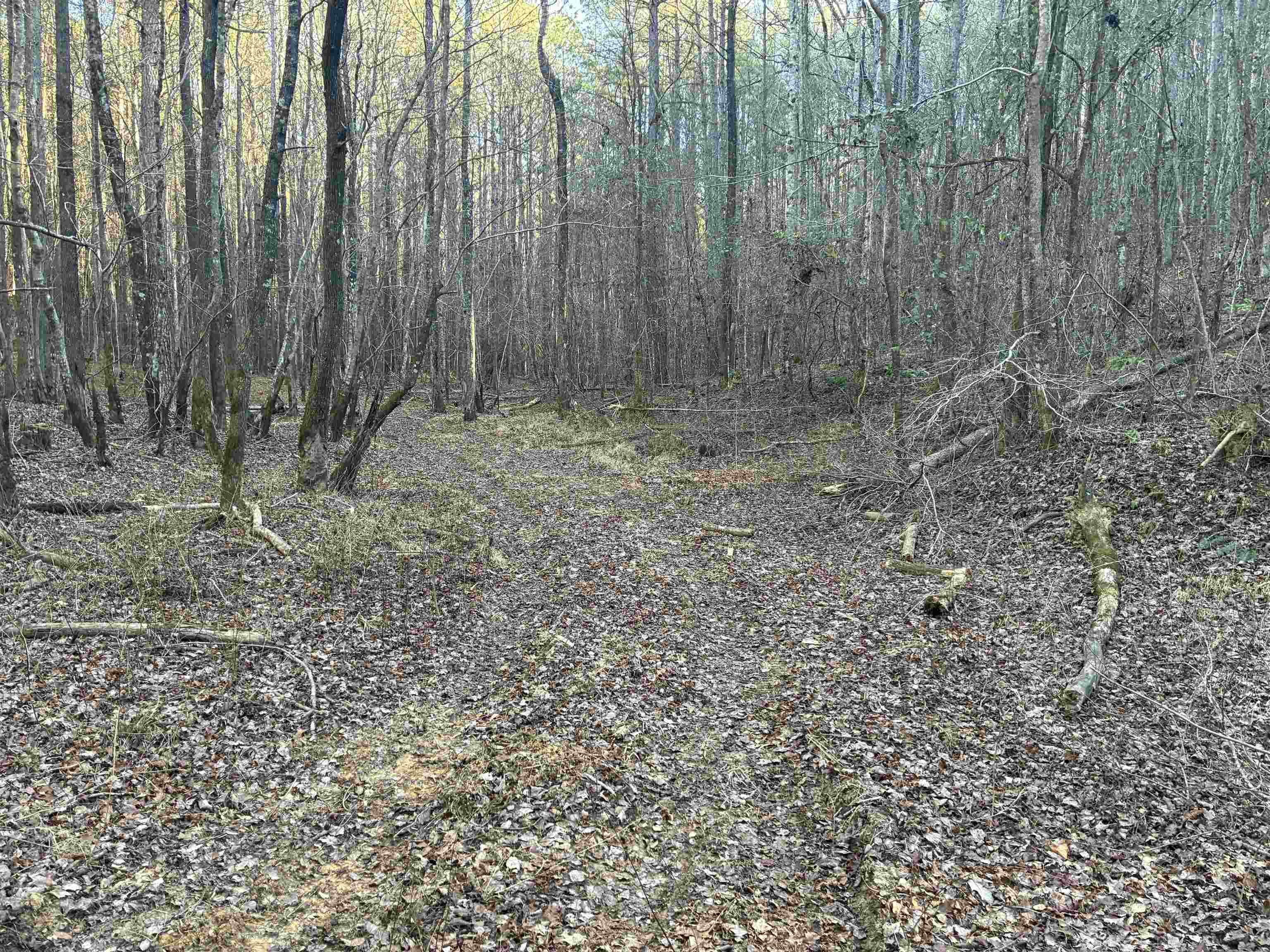 001 Pendley Creek Rd