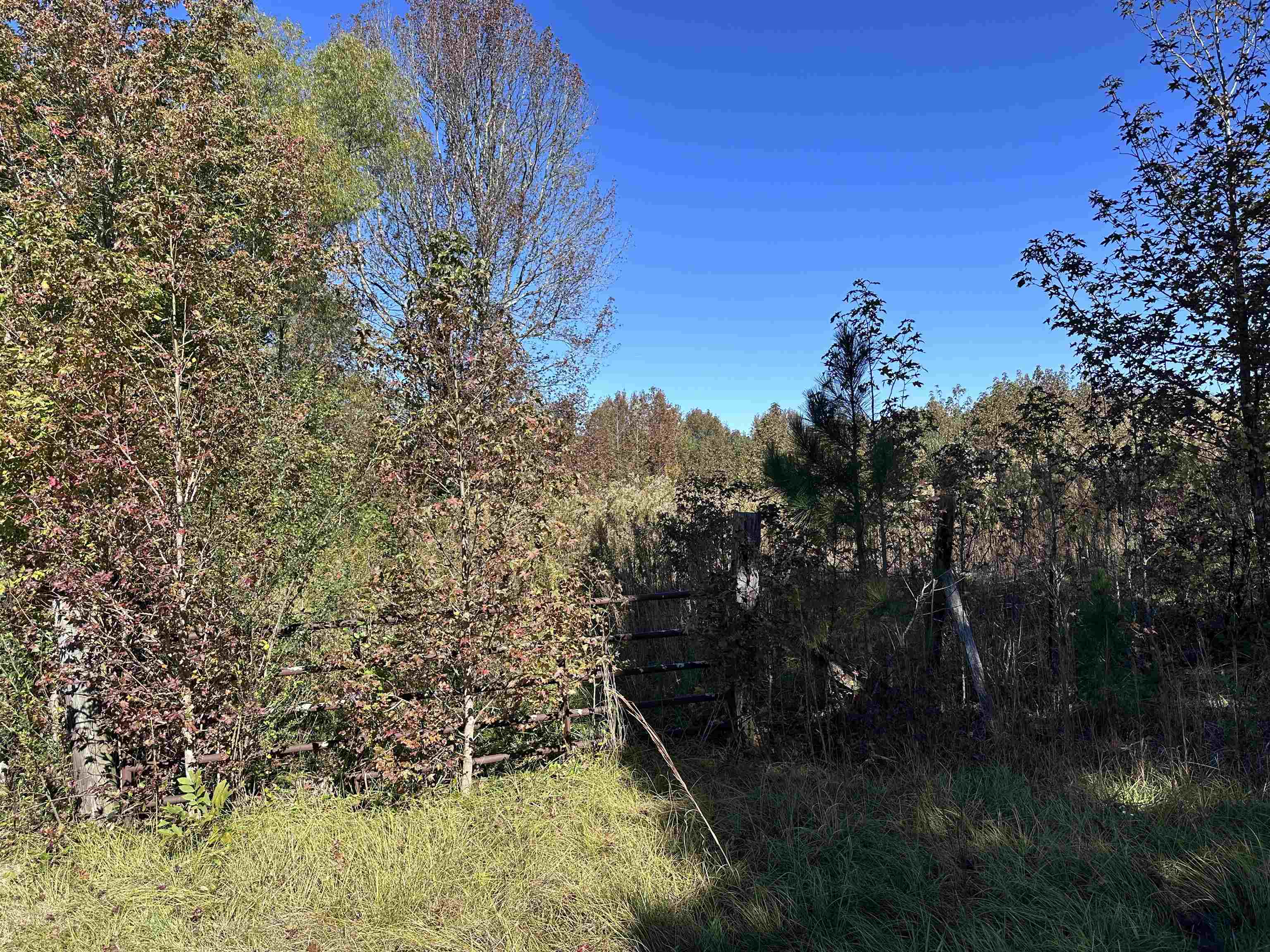 01 Co Hwy 195, Haleyville, AL 35565 — photo 1