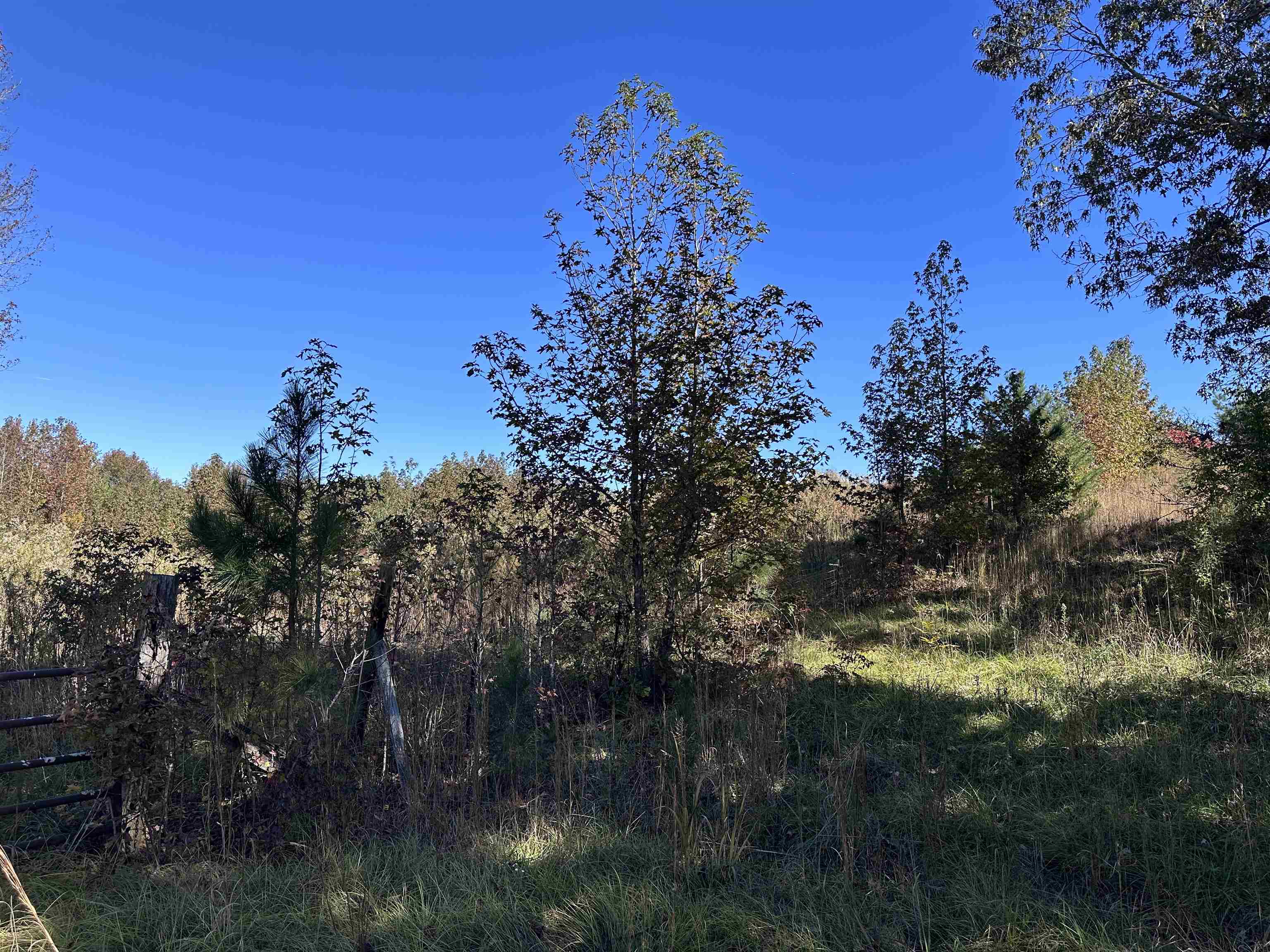 01 Co Hwy 195, Haleyville, AL 35565 — photo 5