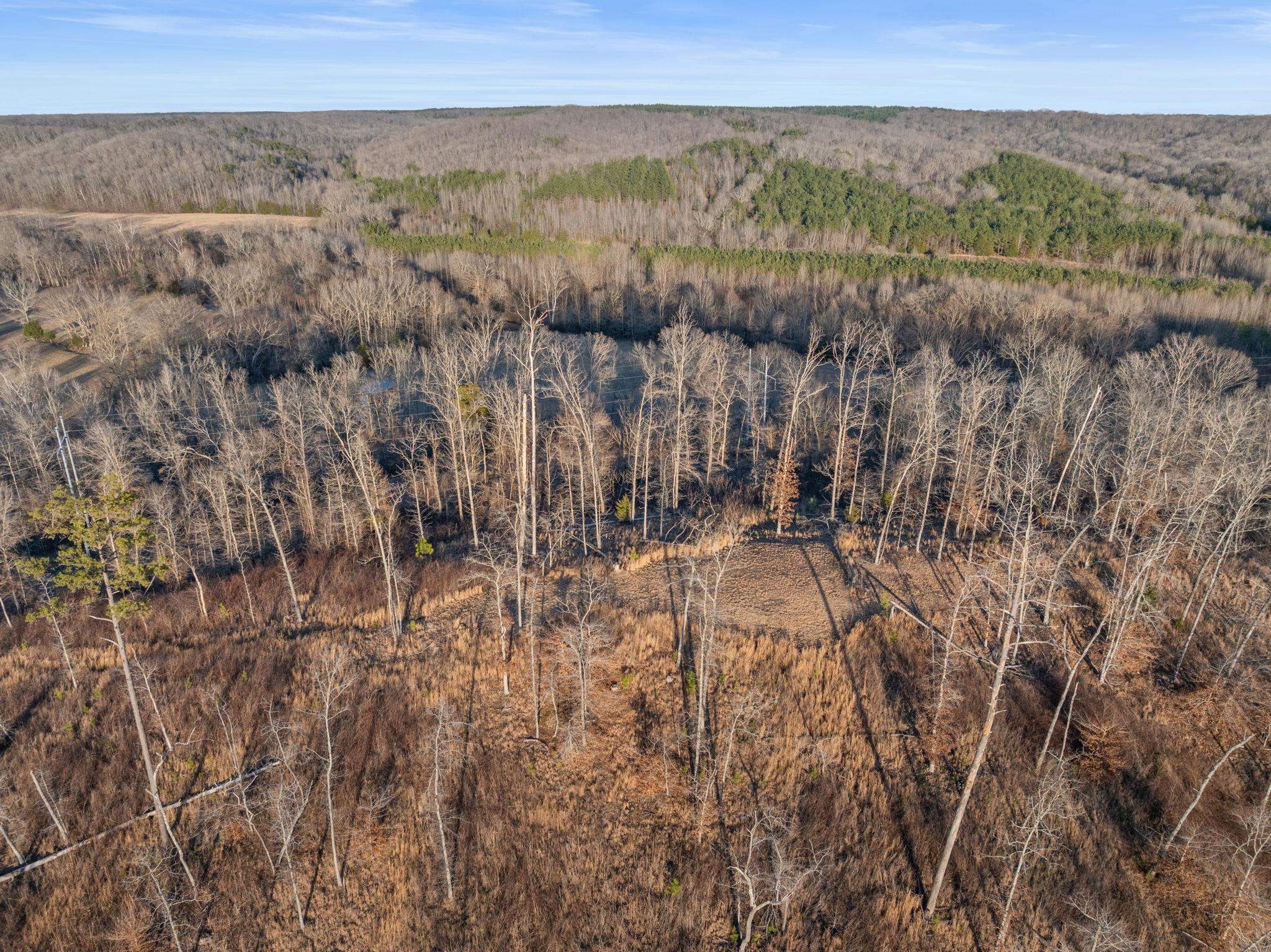 3120 Co Rd 14, Waterloo, AL 35677 — photo 6